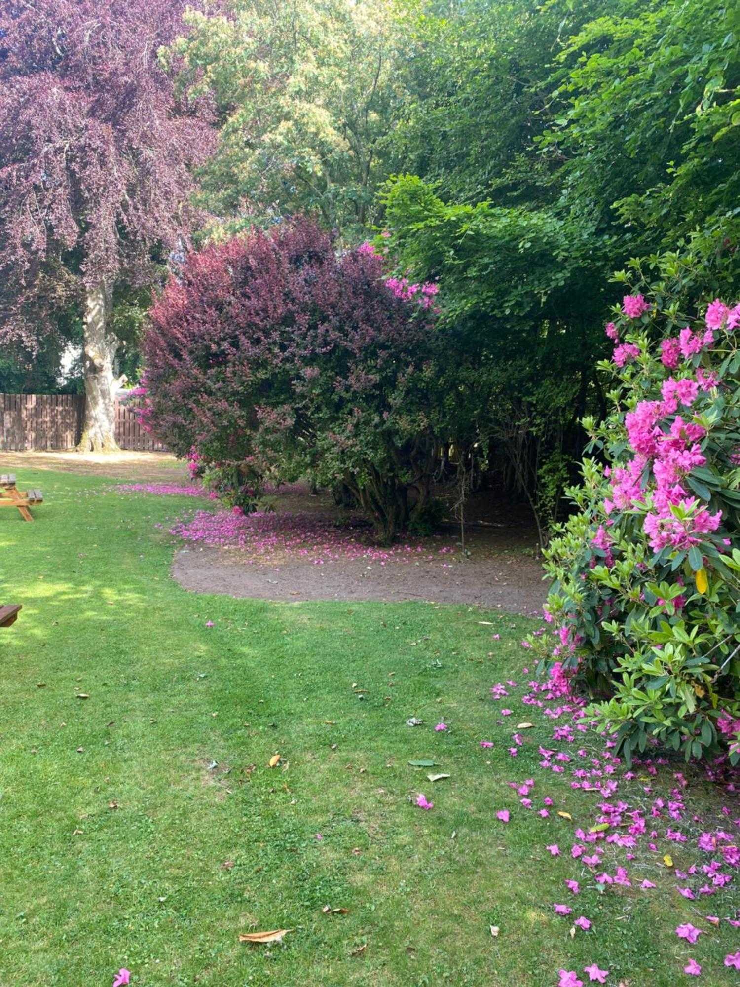 Gift card for Bennachie Lodge Hotel in Kemnay Gift card for Bennachie Lodge Hotel in Kemnay