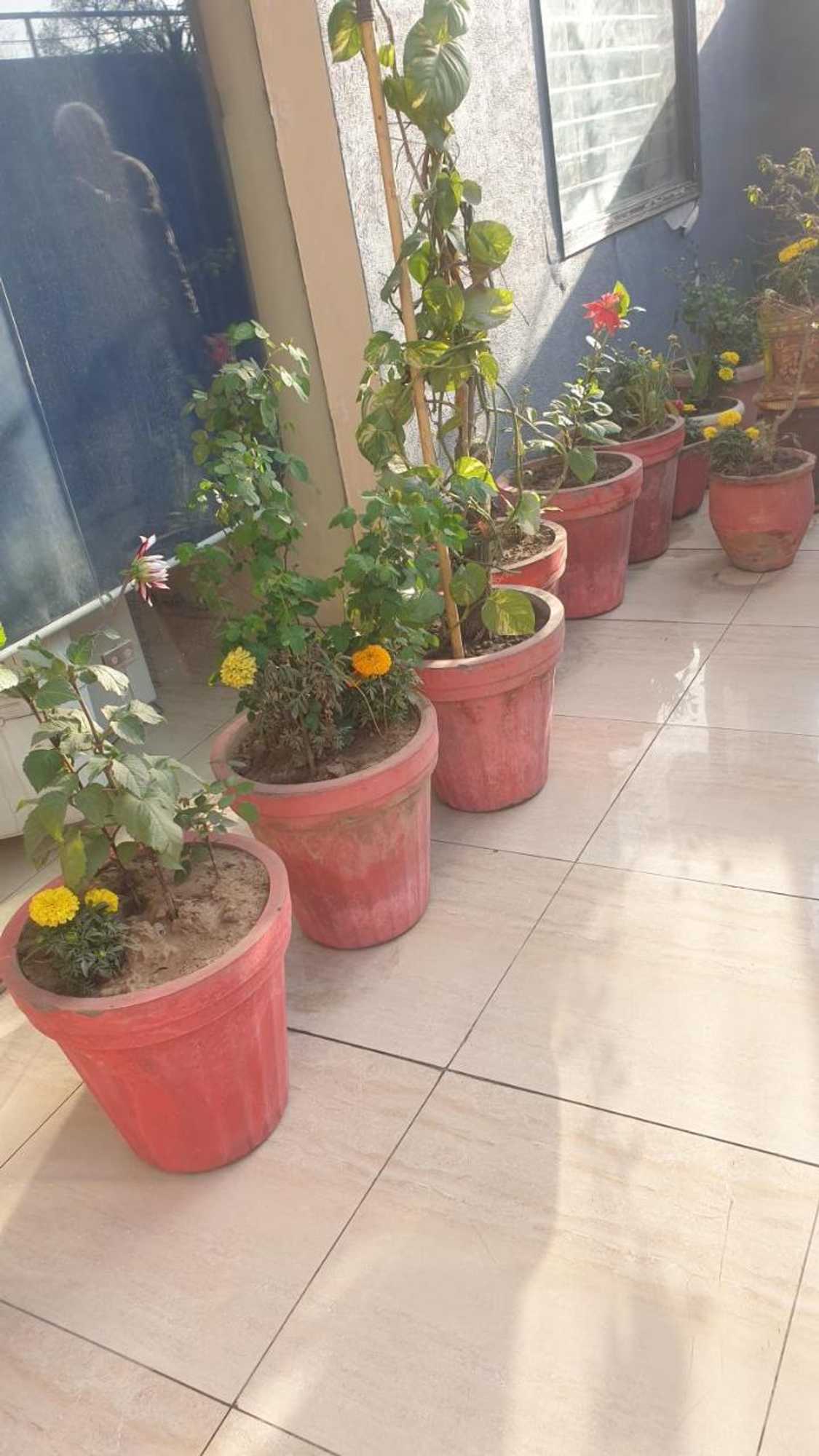 Gift card for Aanantham by Maliks Gift card for Aanantham by Maliks