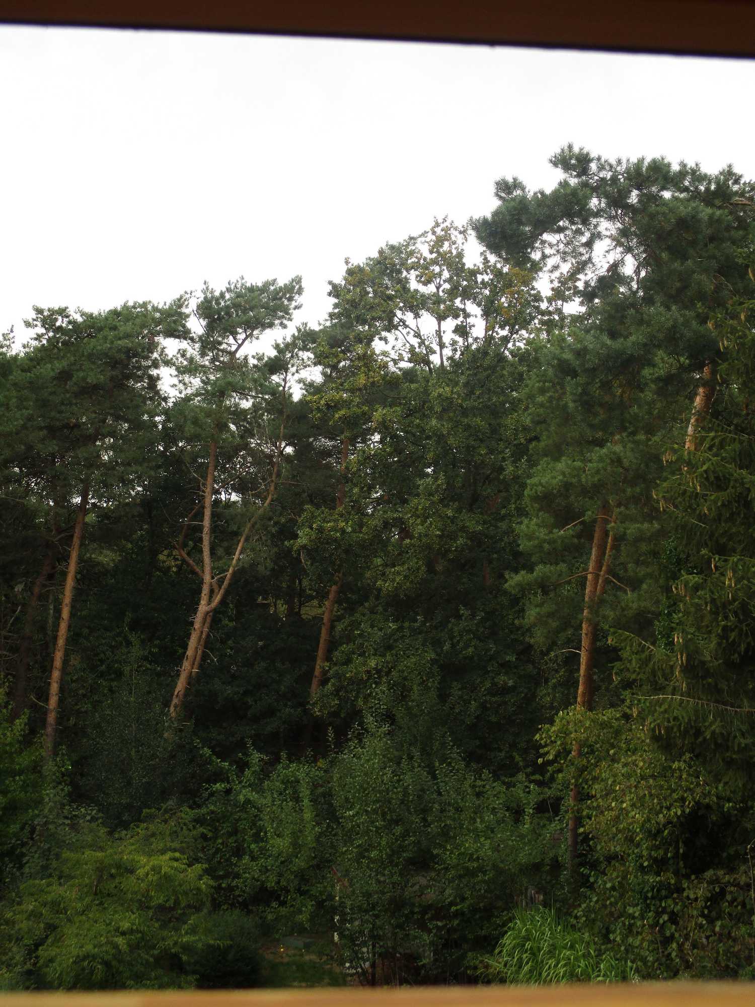 Gift card for De Loteling