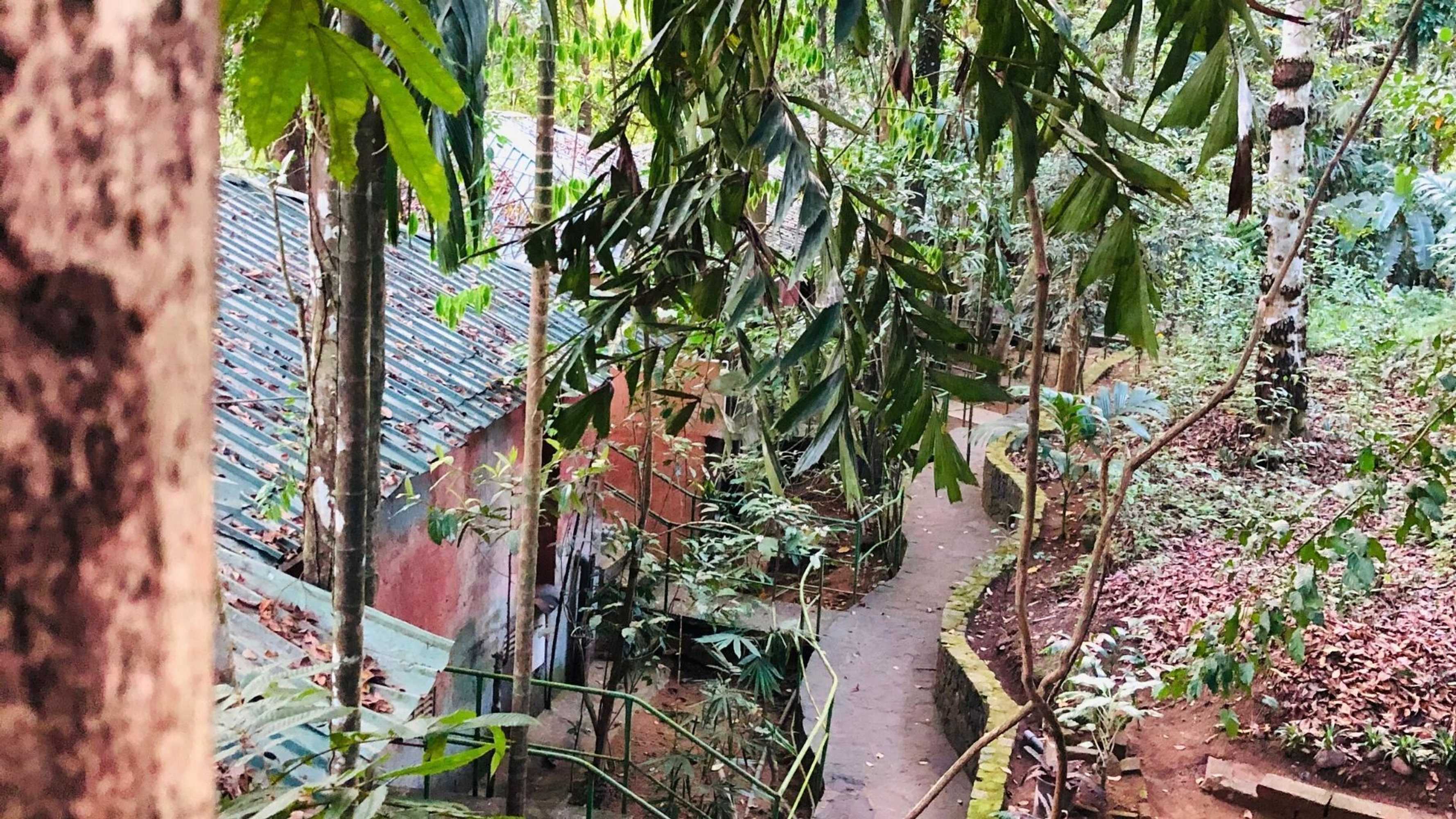 Gift card for Ceylon Nature Hostel Kitulgala Gift card for Ceylon Nature Hostel Kitulgala