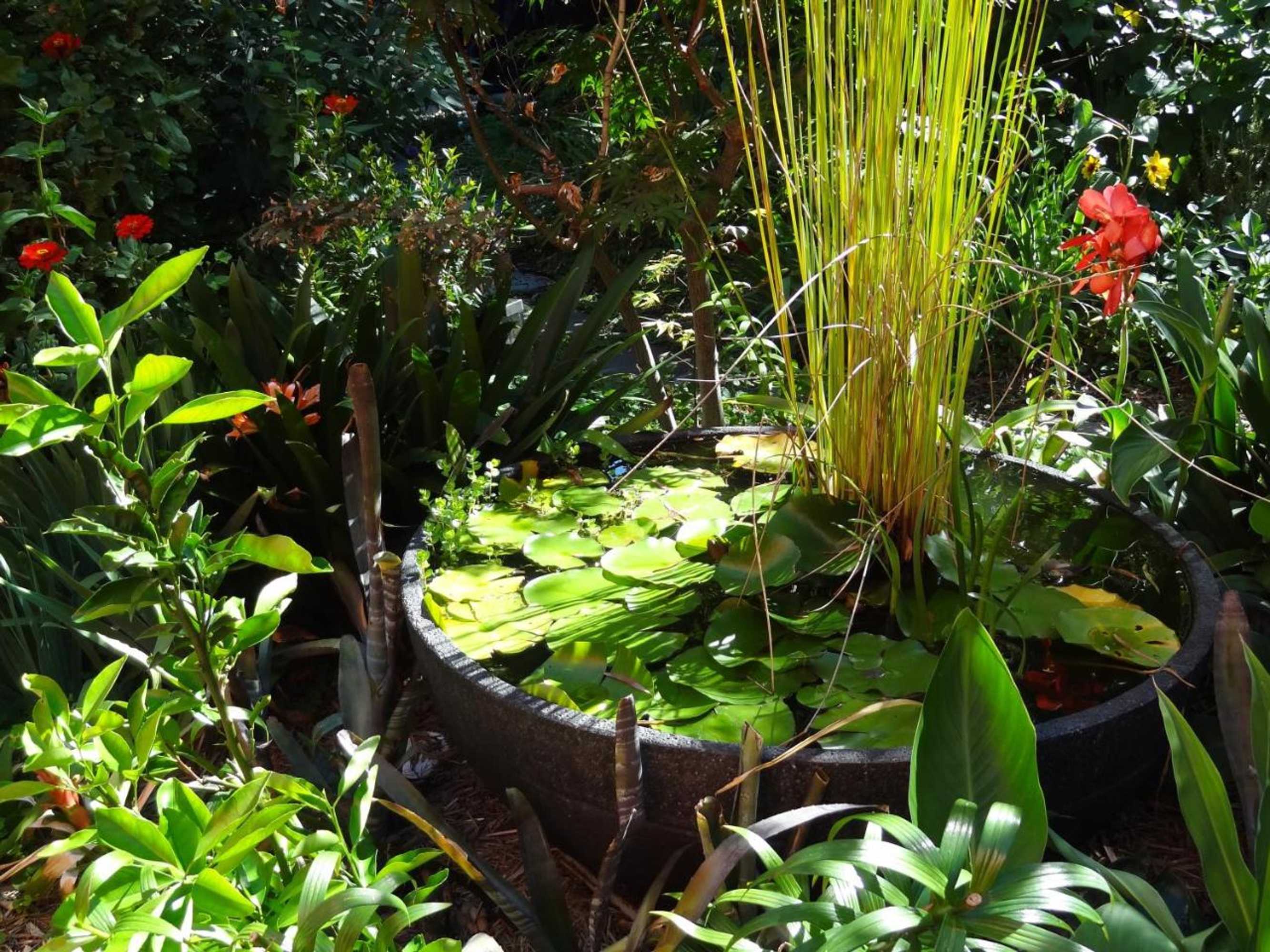 Gift card for The Gallery Accommodation Mccrae Gift card for The Gallery Accommodation Mccrae