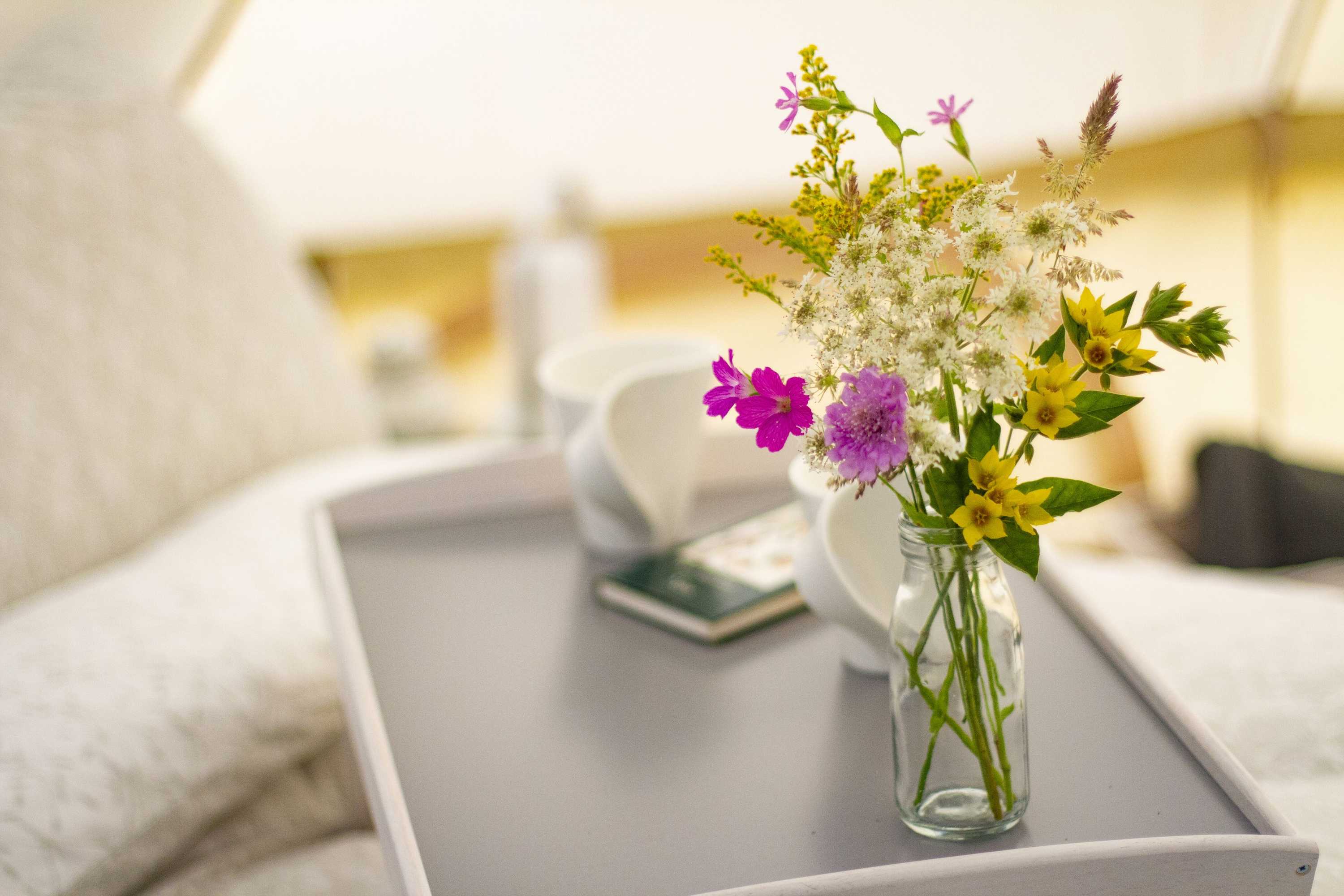 Gift card for Lloyds Meadow Glamping Delamere Chester