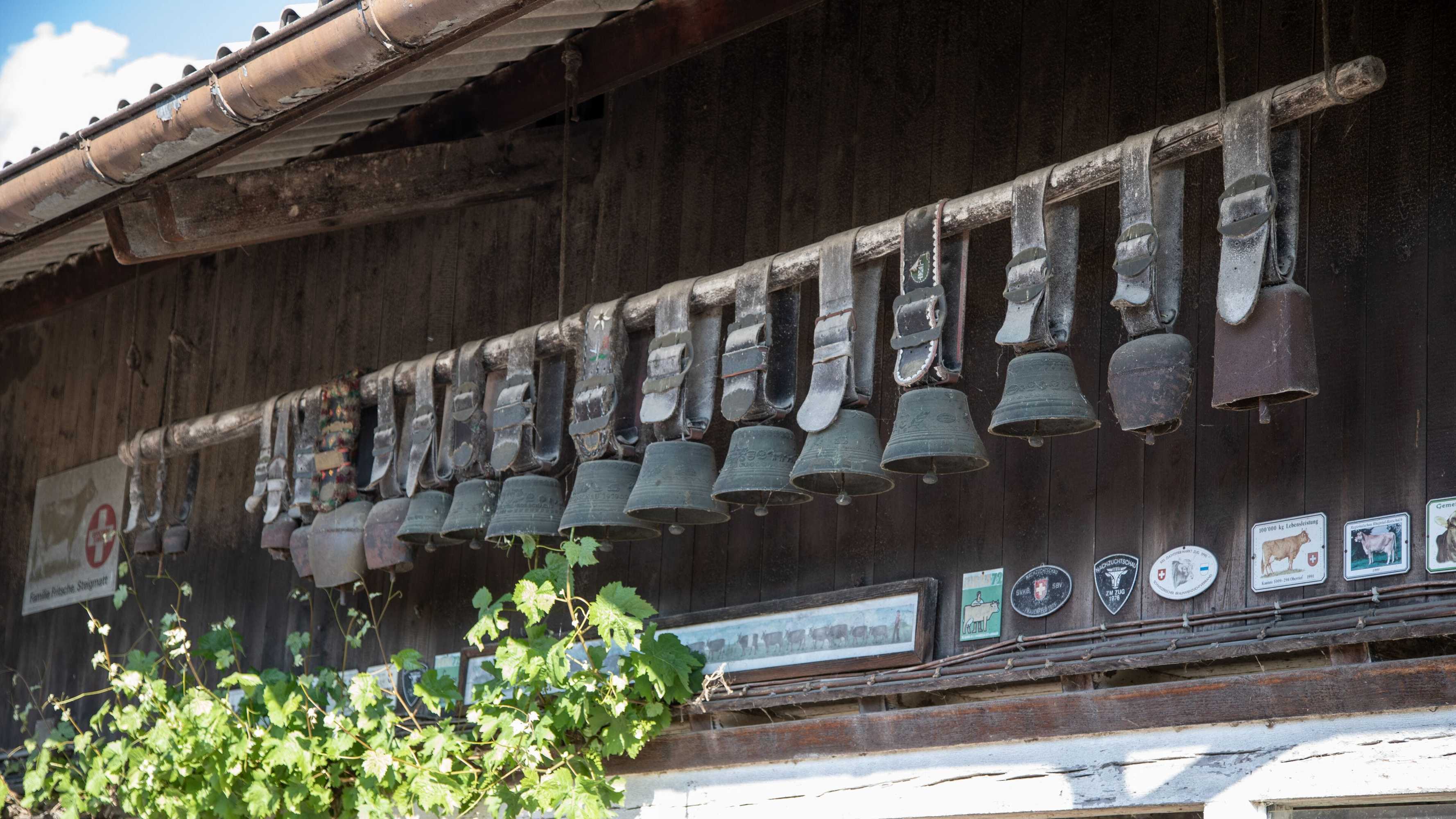 Gift card for Steigmatt Bauernhof - Erlebnis