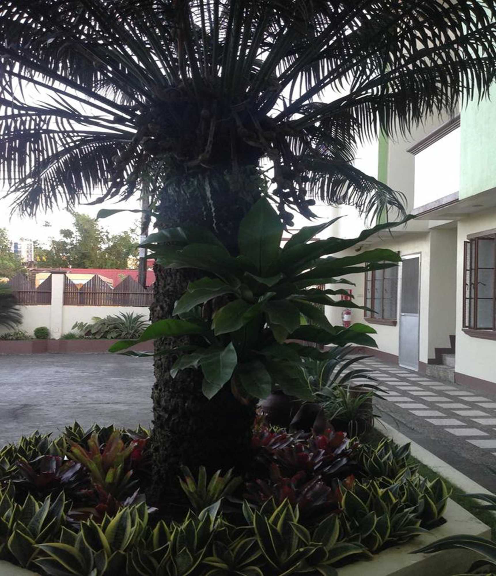 Gift card for Danel Pensionne House