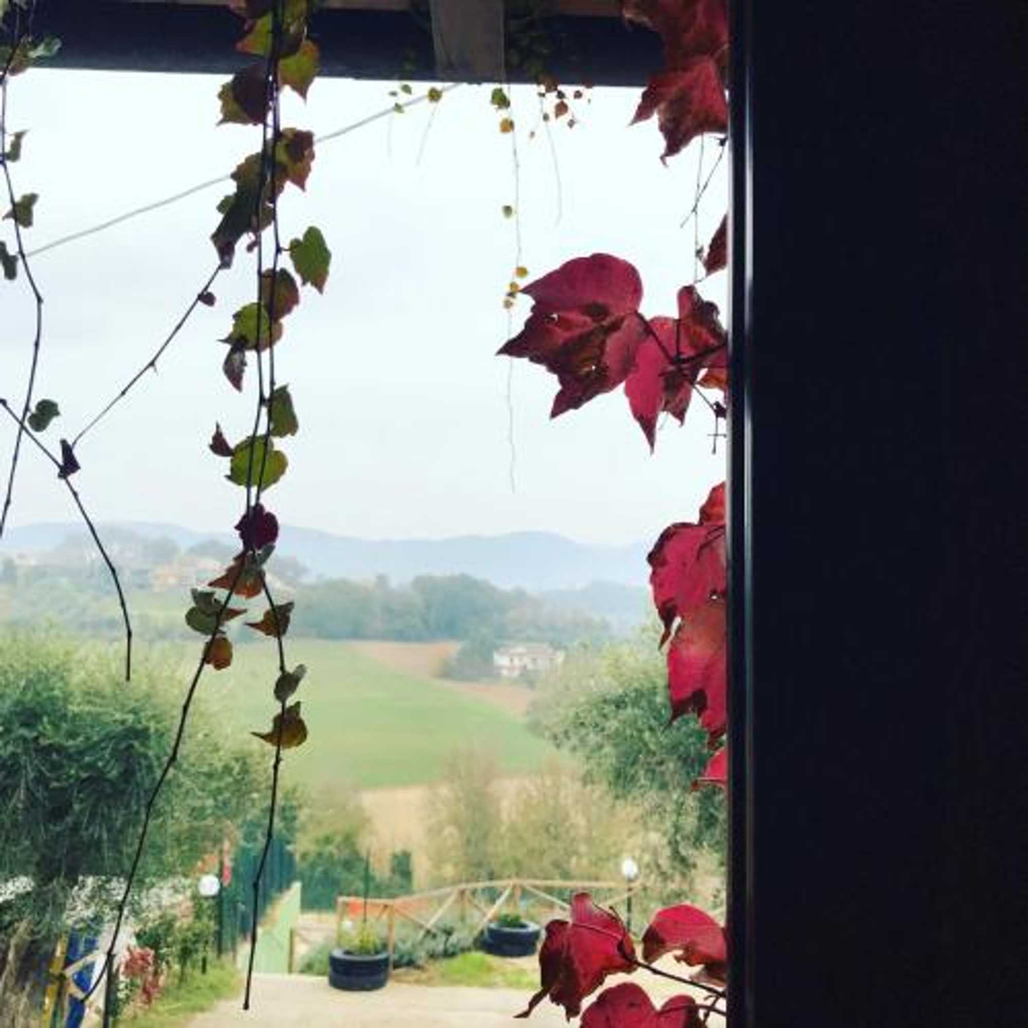 Gift card for Il Pozzo Country House Gift card for Il Pozzo Country House