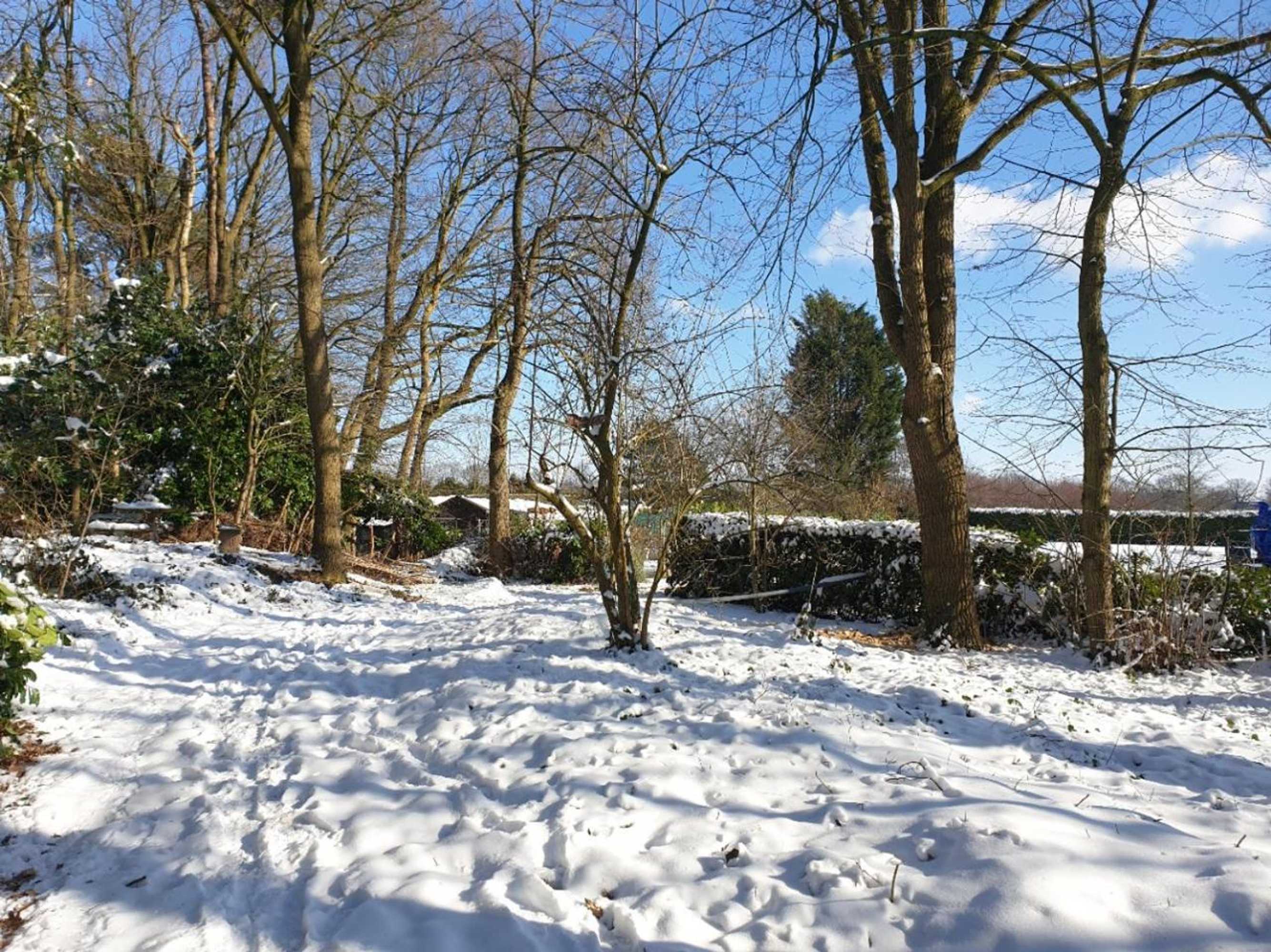 Gift card for Benb Op de Vleet Vrijstaande Accommodatie