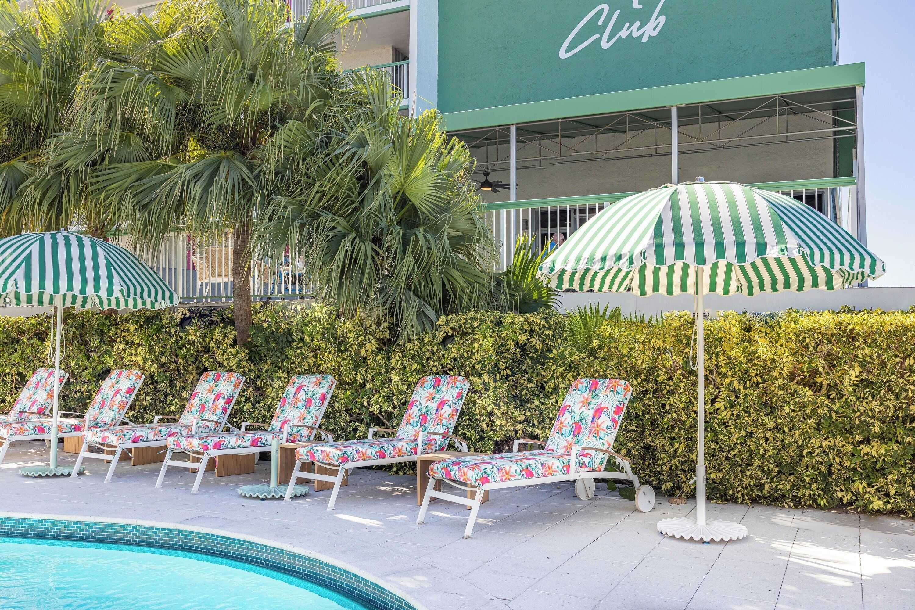 Gift card for Palm Tree Club Miami Gift card for Palm Tree Club Miami