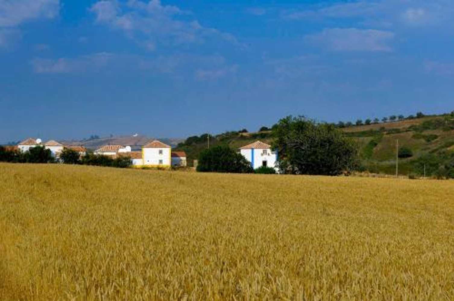 Gift card for Aldeia da Mata Pequena