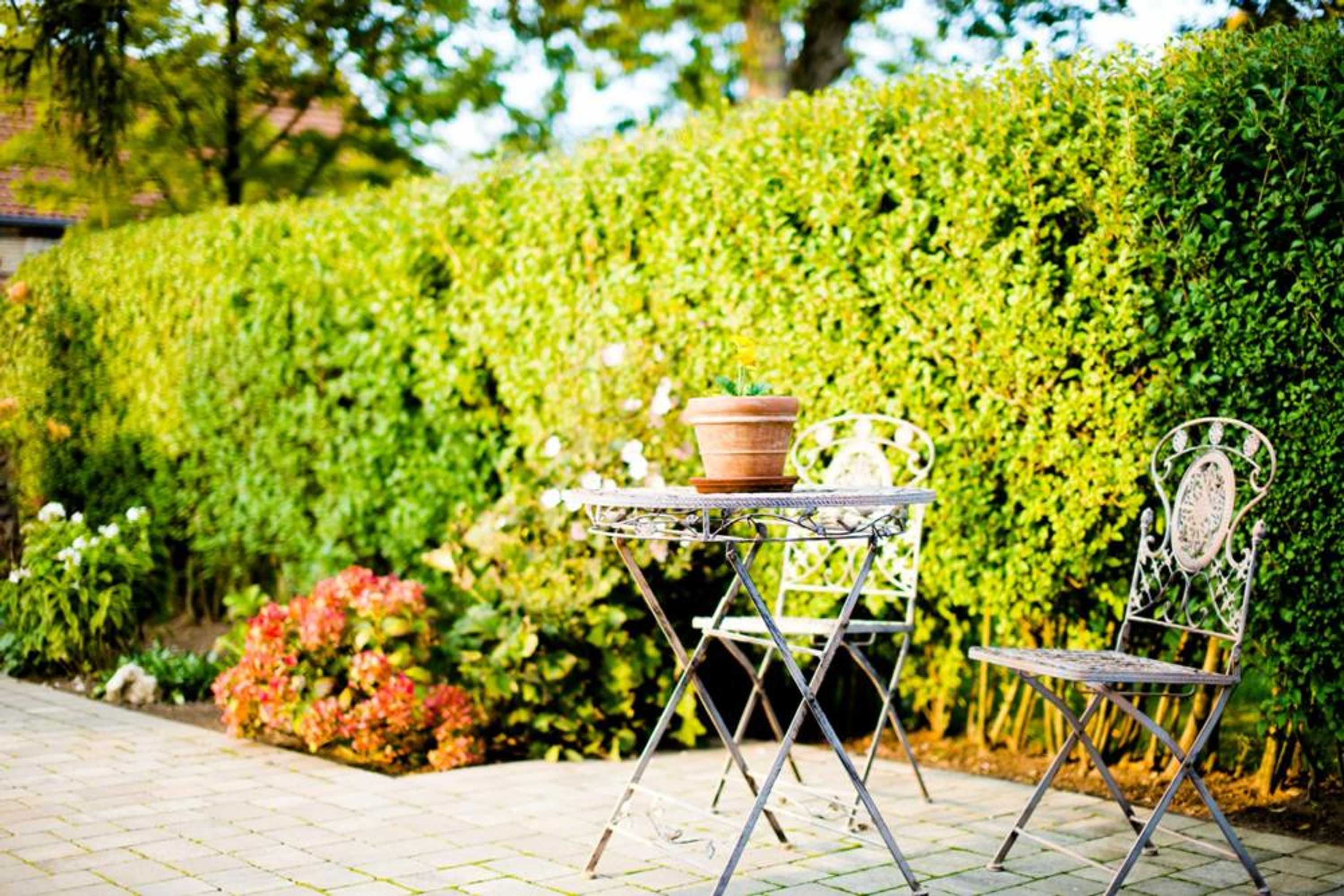 Gift card for Landhotel Alte Töpferei