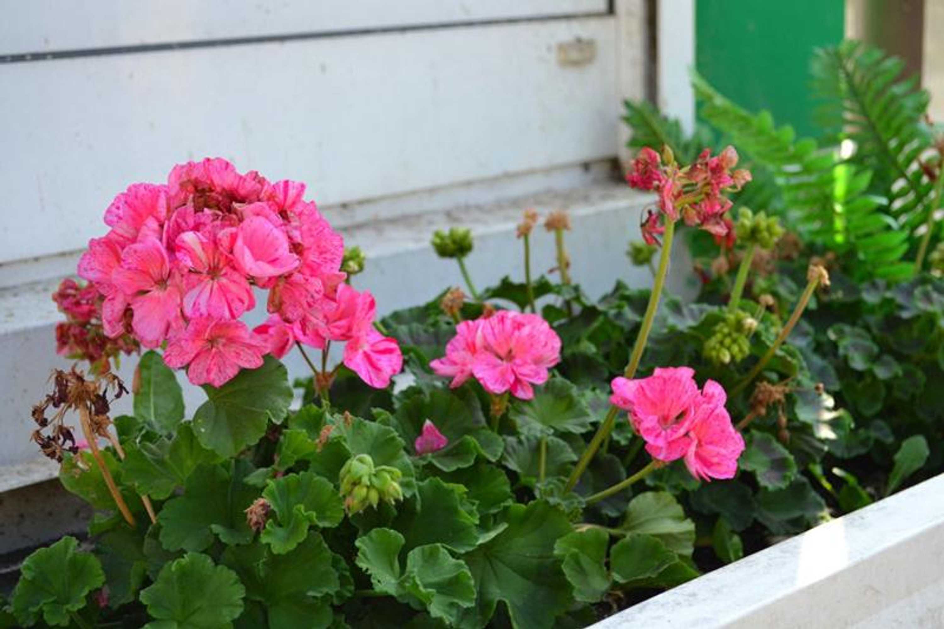 Gift card for Hotel Hohenstein -Radweg-Messe-Baldeneysee