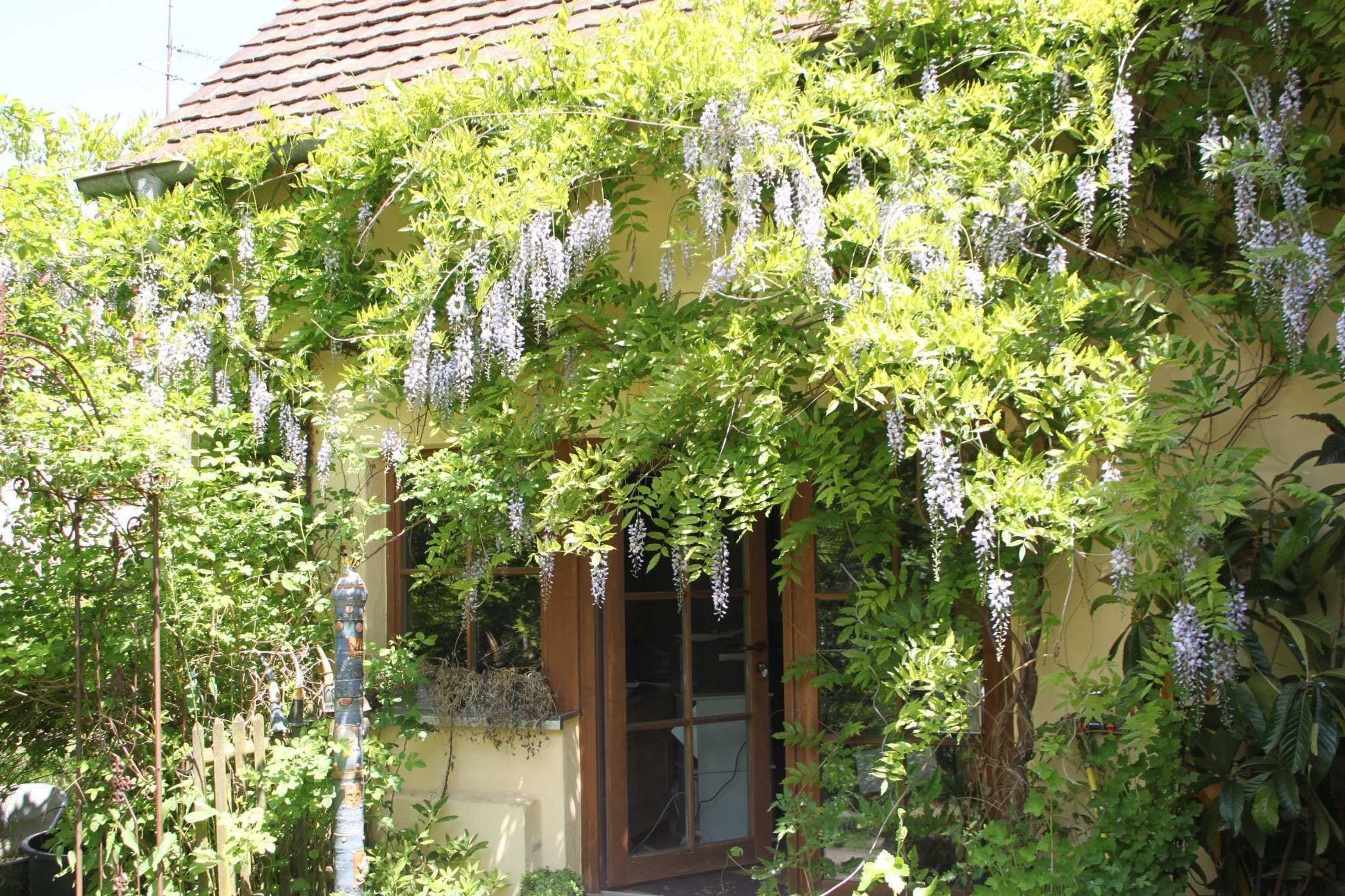 Gift card for Vogtshof Rottweil