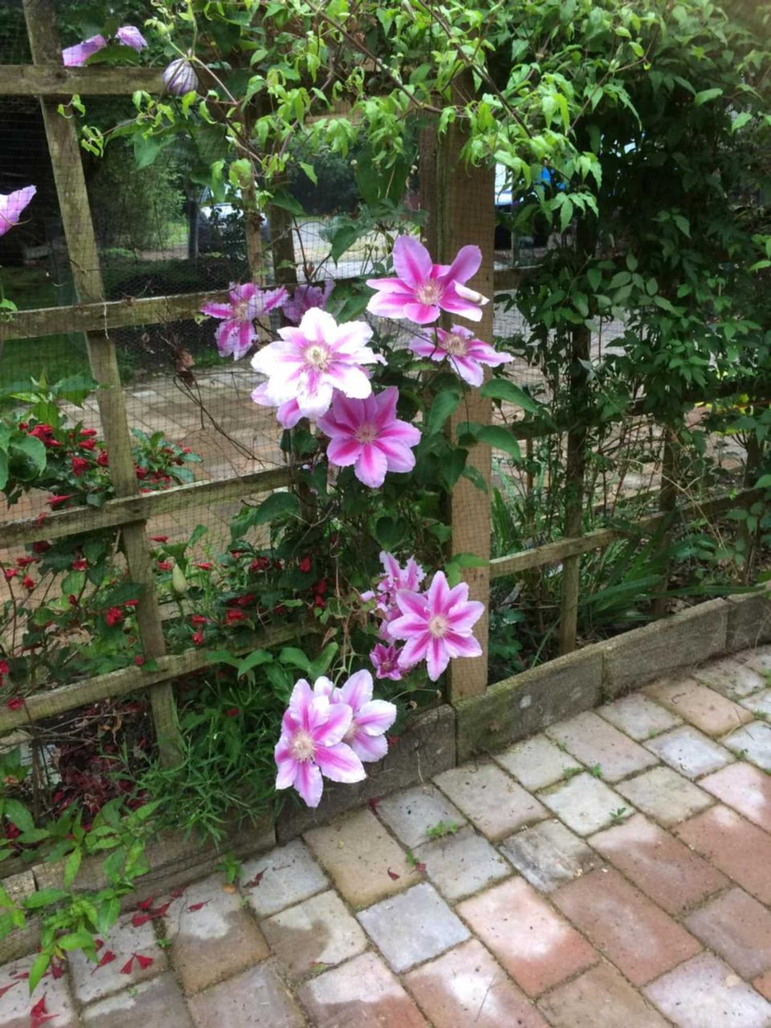 Gift card for Jonti Bed And Breakfast