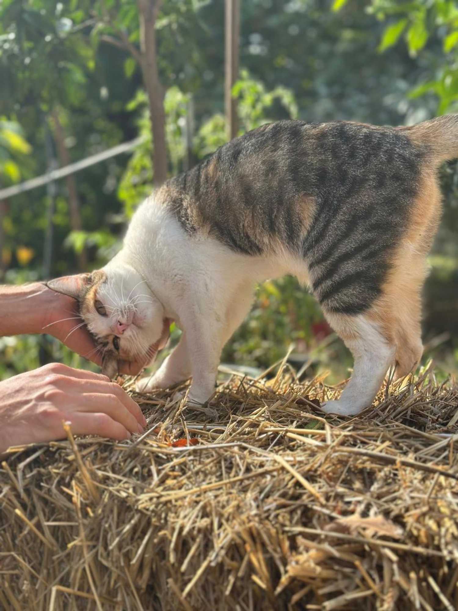 Gift card for Corte di Maggio B&b