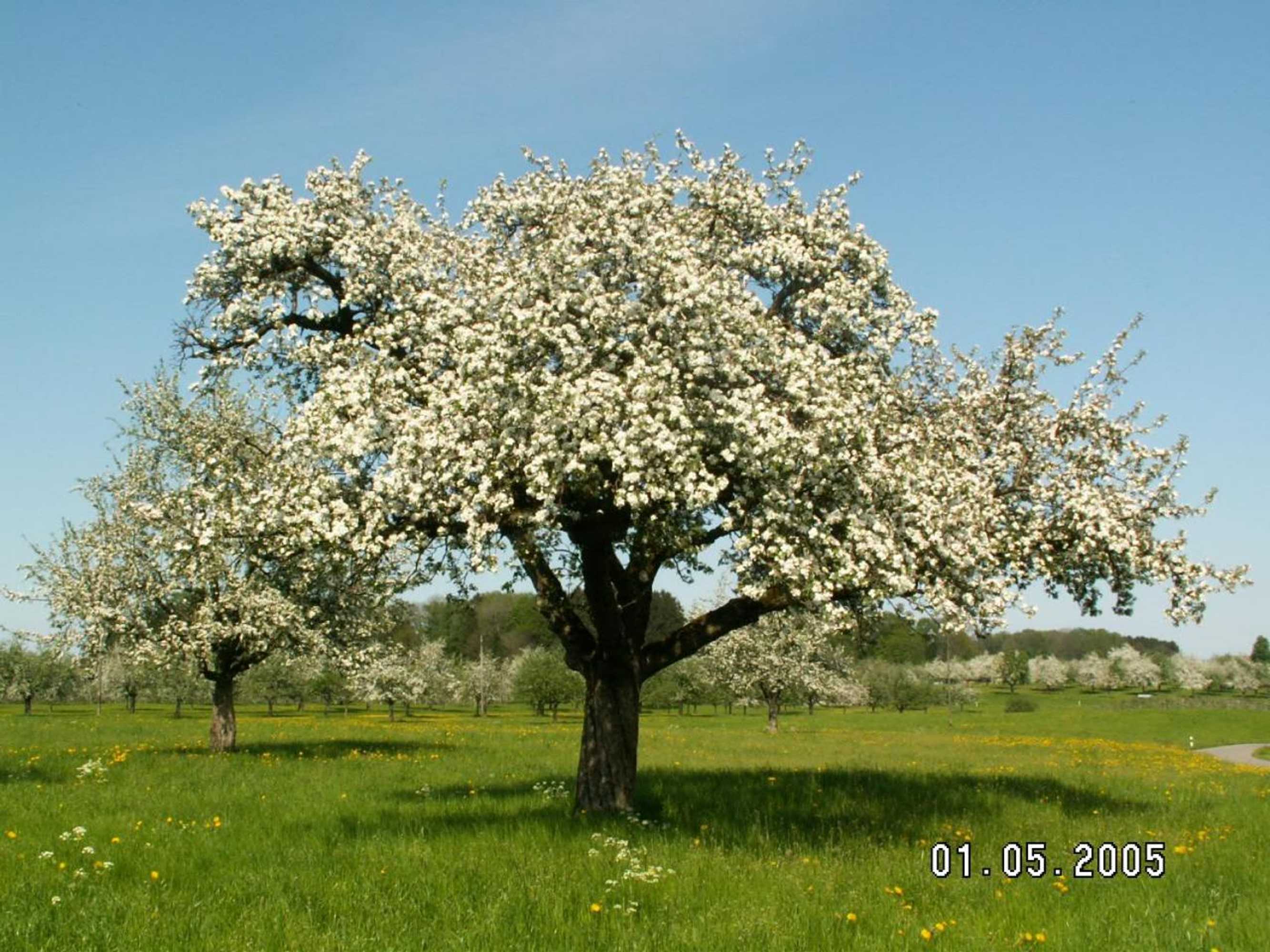 Gift card for Haus St.michael