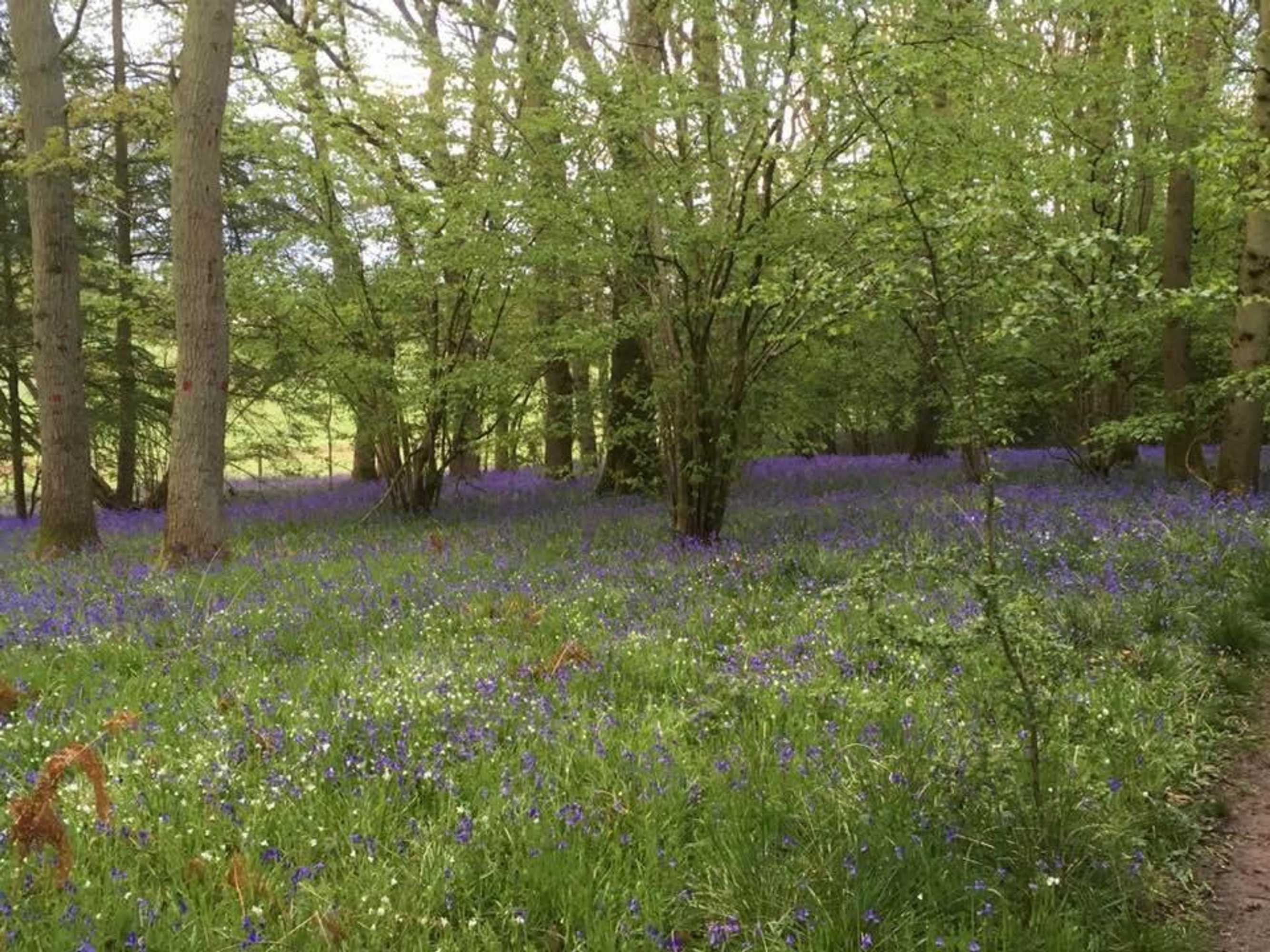 Gift card for The Grange Silverstone