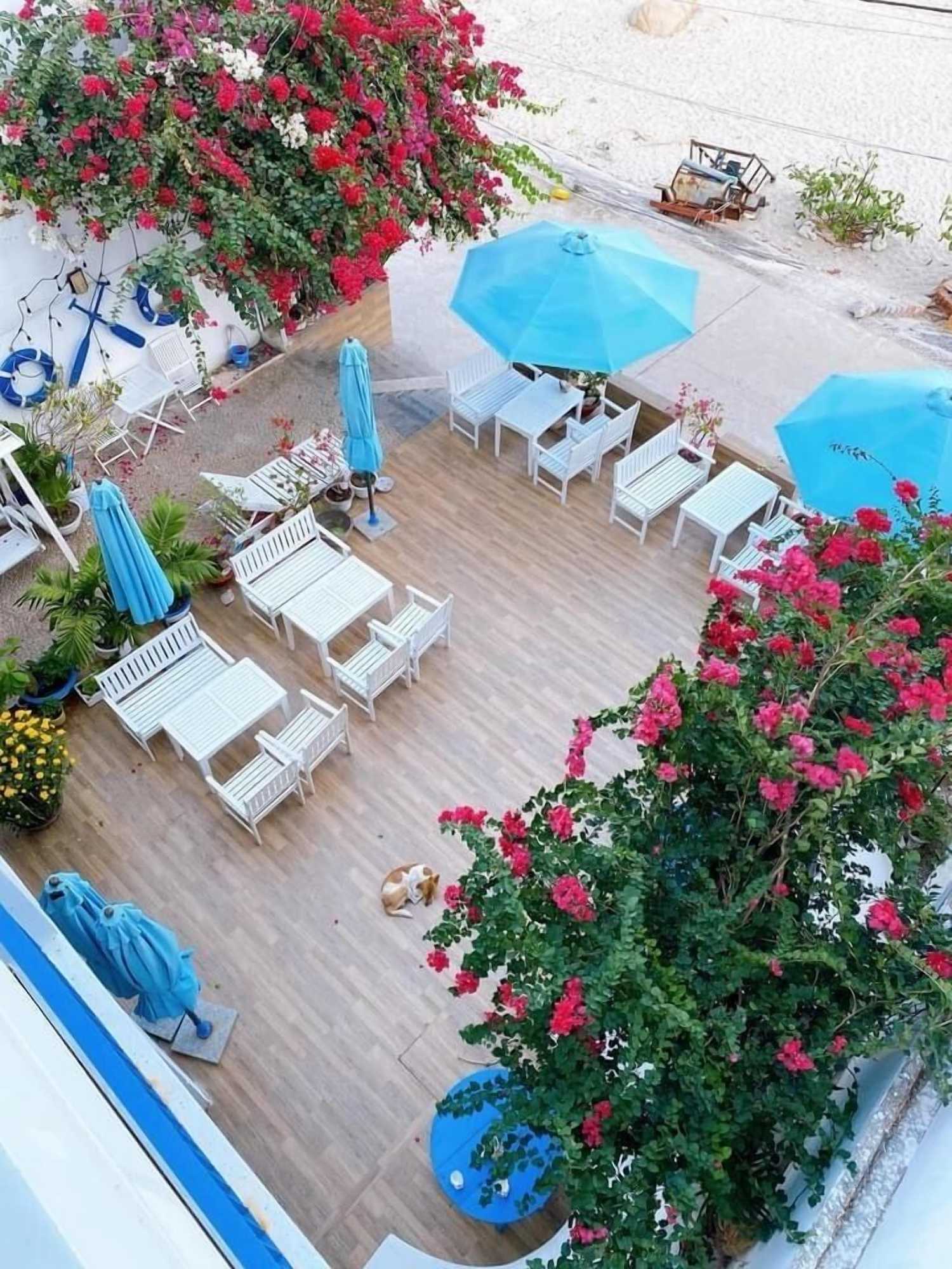Gift card for Blue Anchor Lodge & Cafe-Binh Ba Island Gift card for Blue Anchor Lodge & Cafe-Binh Ba Island