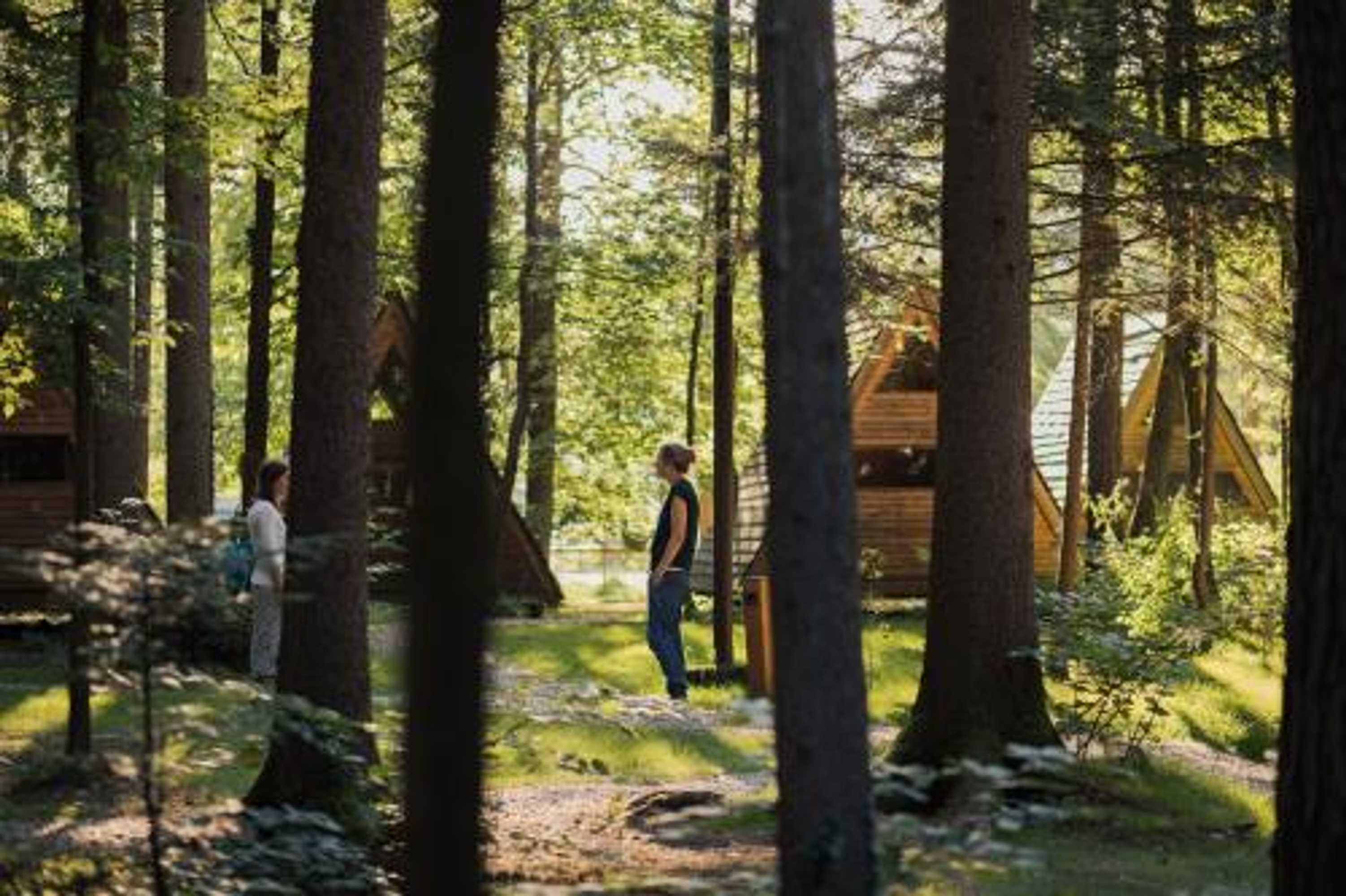 Gift card for Forest Camping Mozirje Gift card for Forest Camping Mozirje