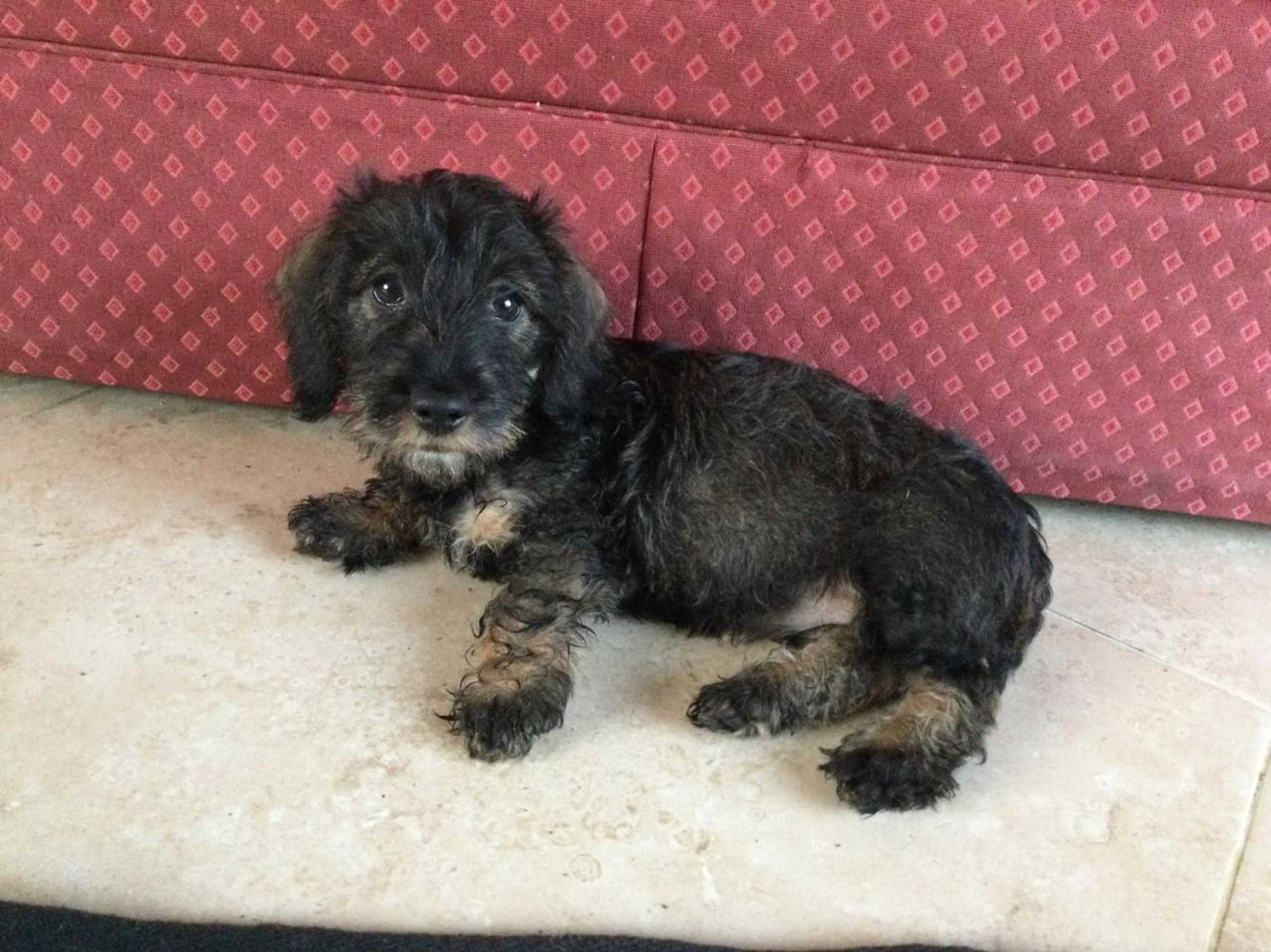 Gift card for Field End House Strawberry Lane Meysey Hampton