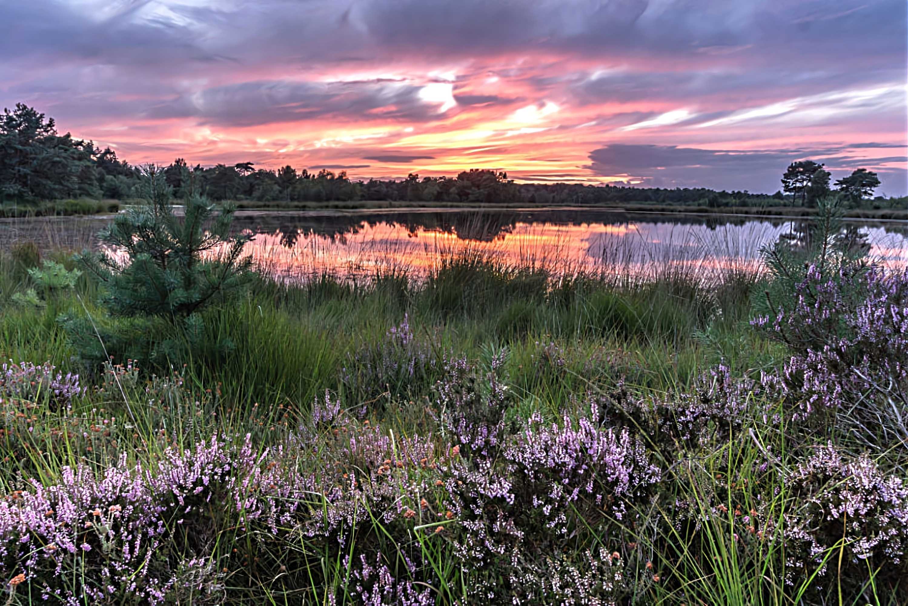 Gift card for De Berk Hotel