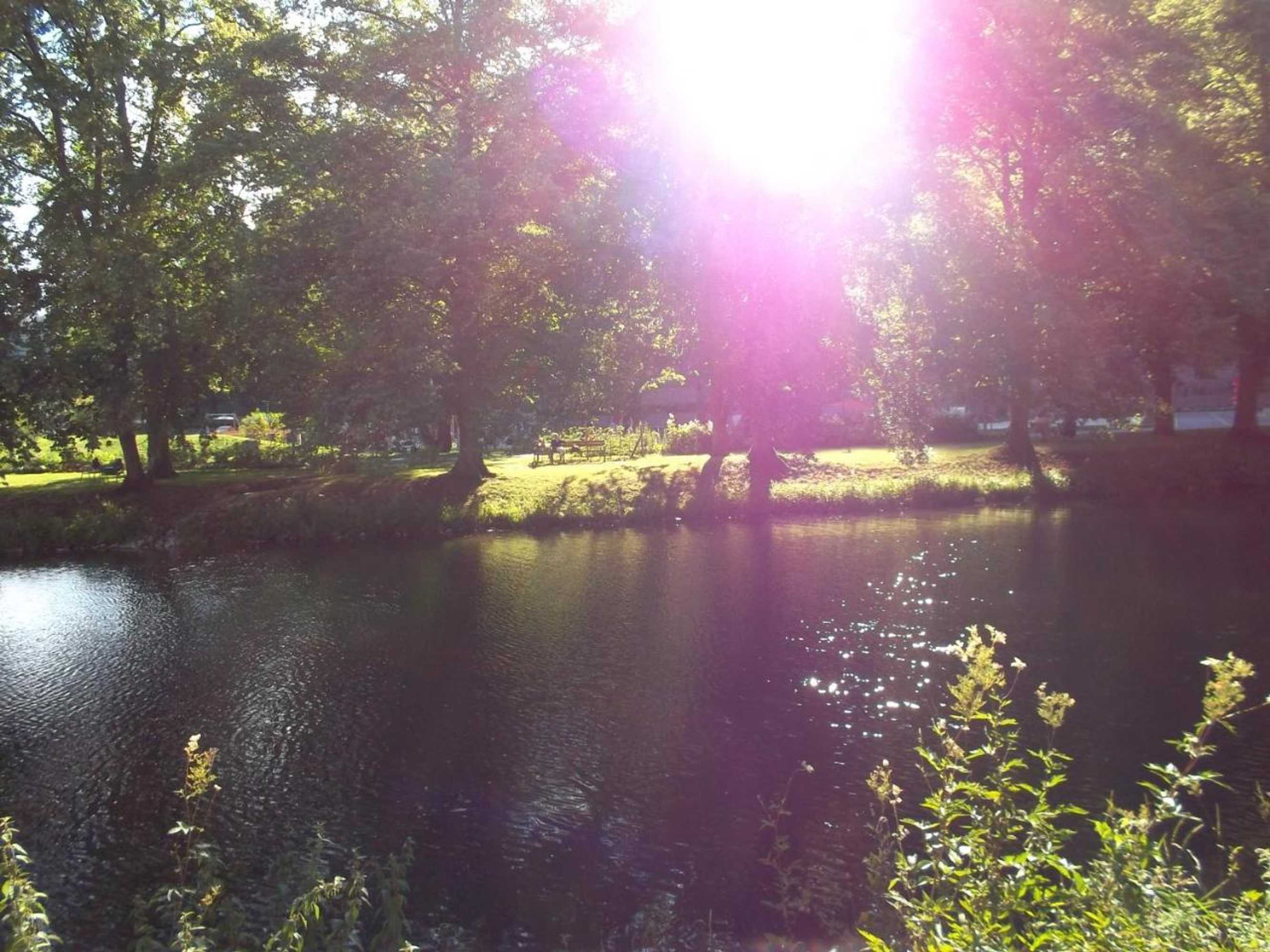 Gift card for Hotel Schiff Nagold