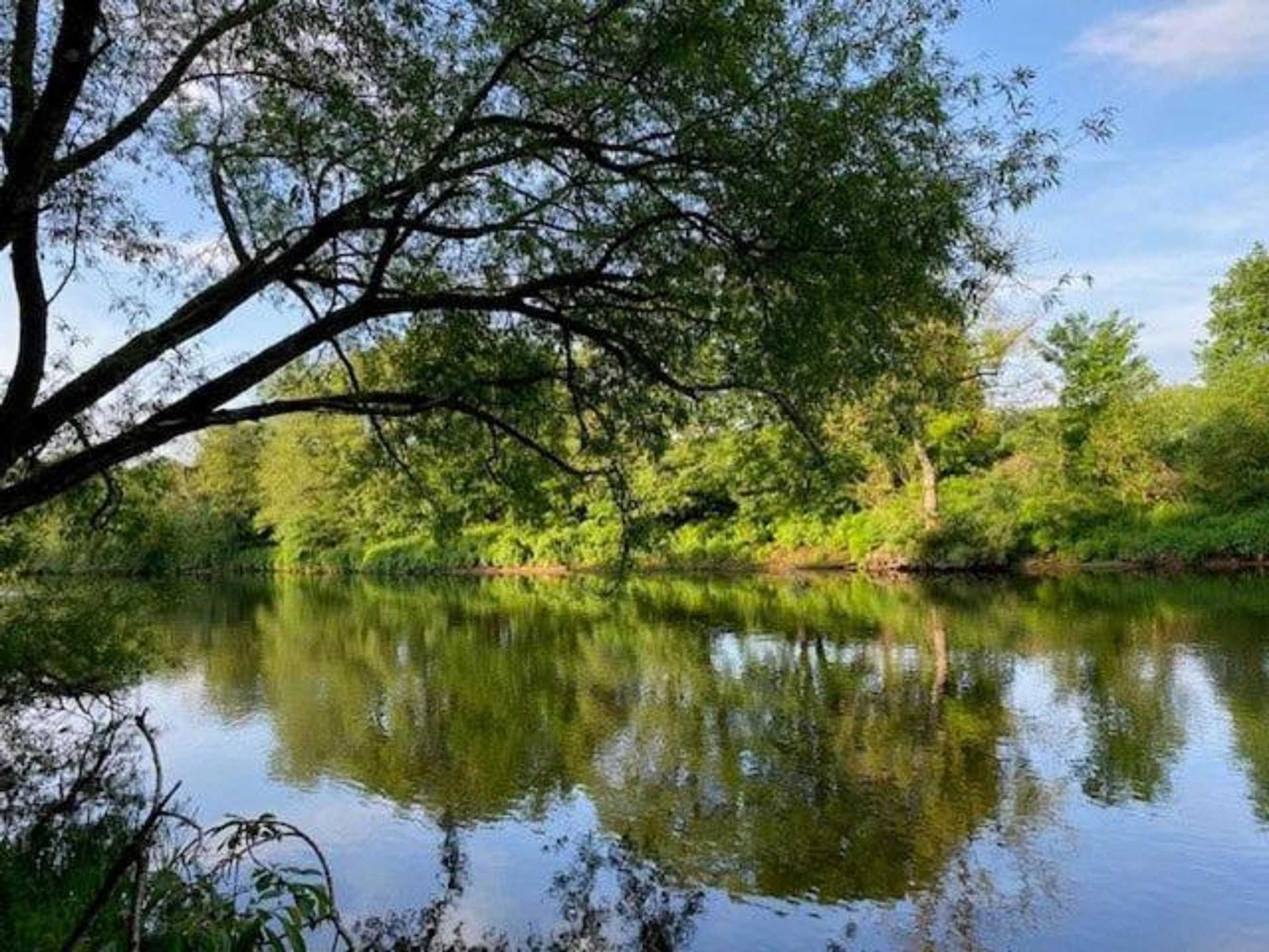 Gift card for Geltsdale Garden Apartment