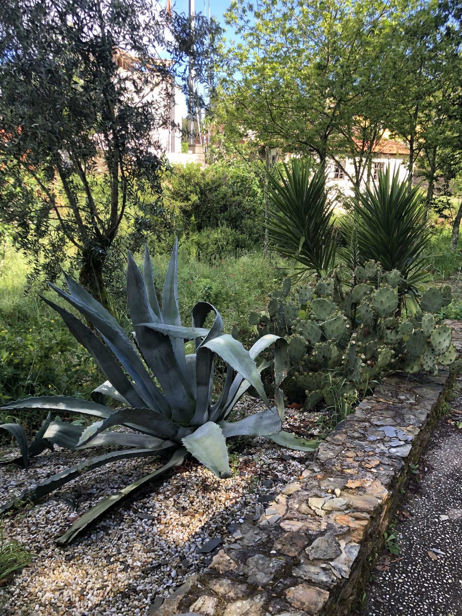 Gift card for Mimosa Village - Turismo de Natureza