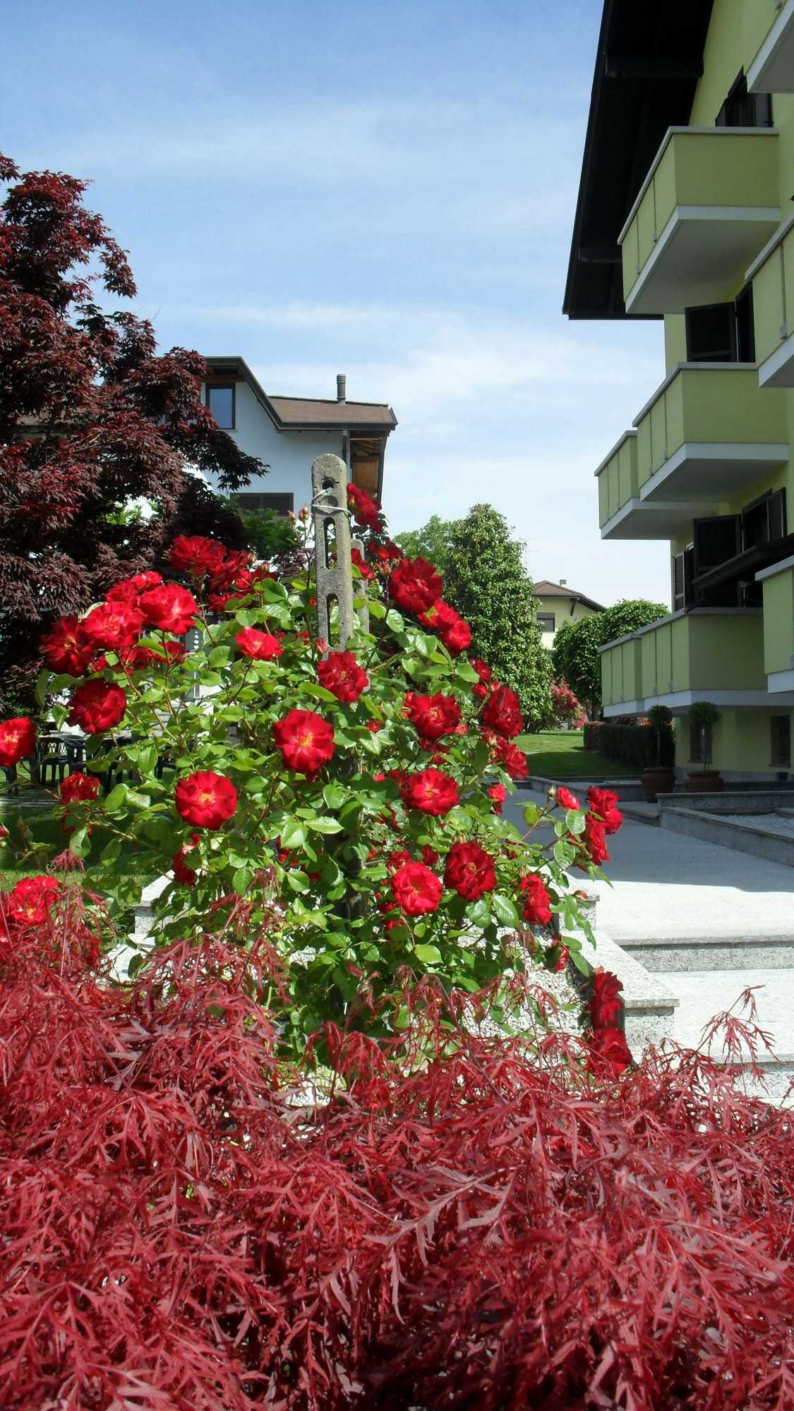 Gift card for Albergo Residence Isotta Gift card for Albergo Residence Isotta