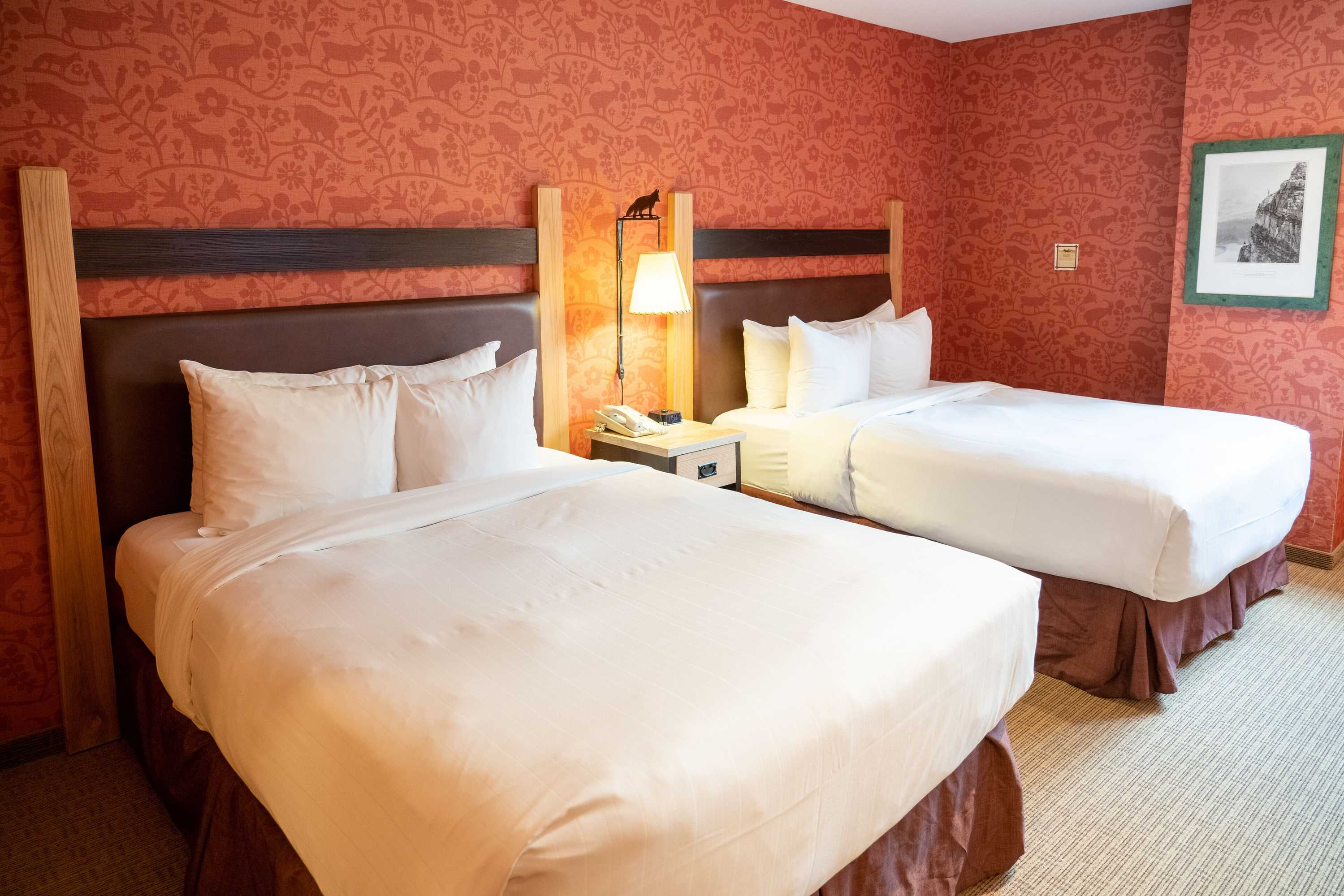 Gift card for The Fox Hotel And Suites