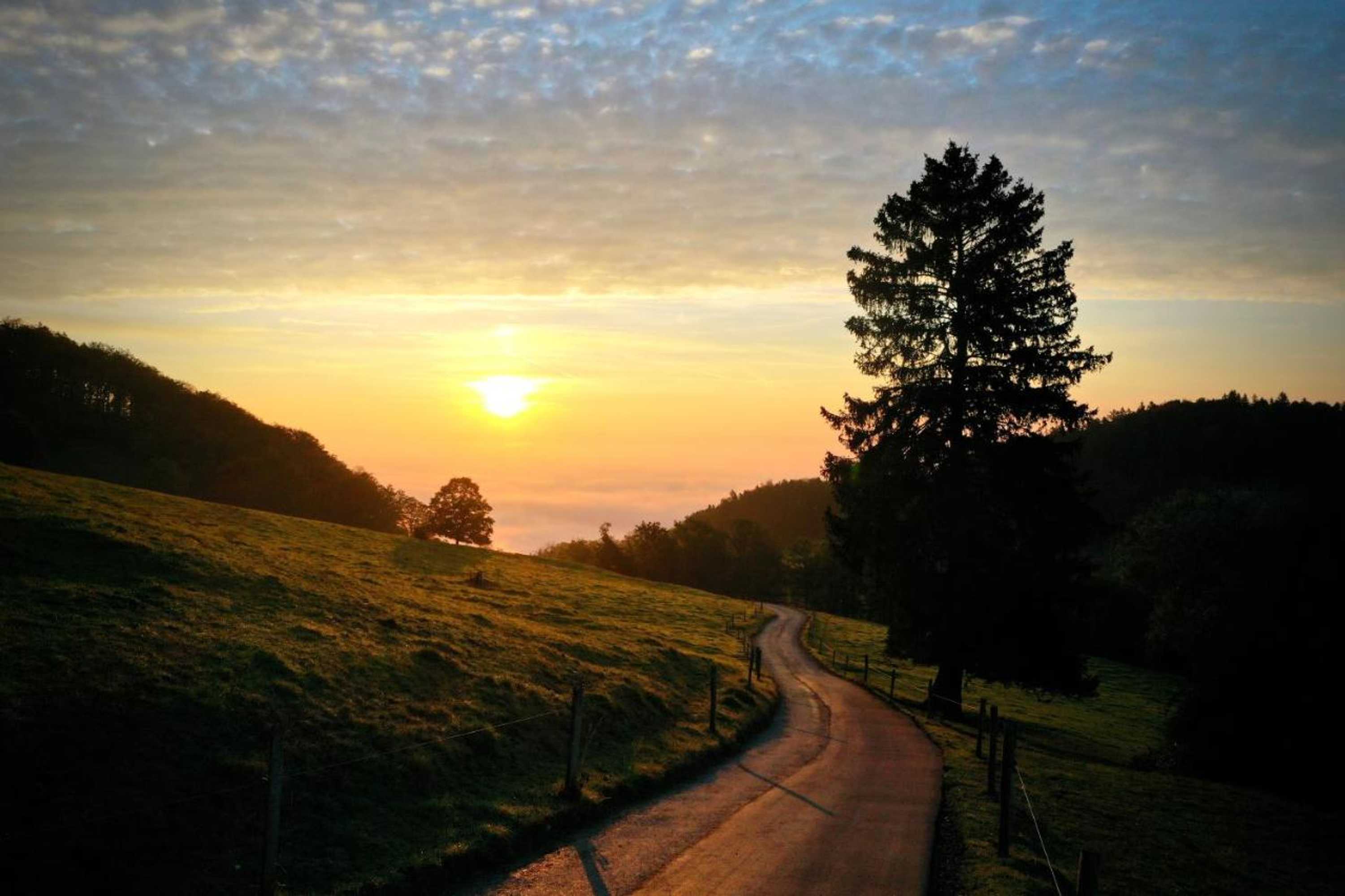 Gift card for Bergwirtschaft Tiefmatt