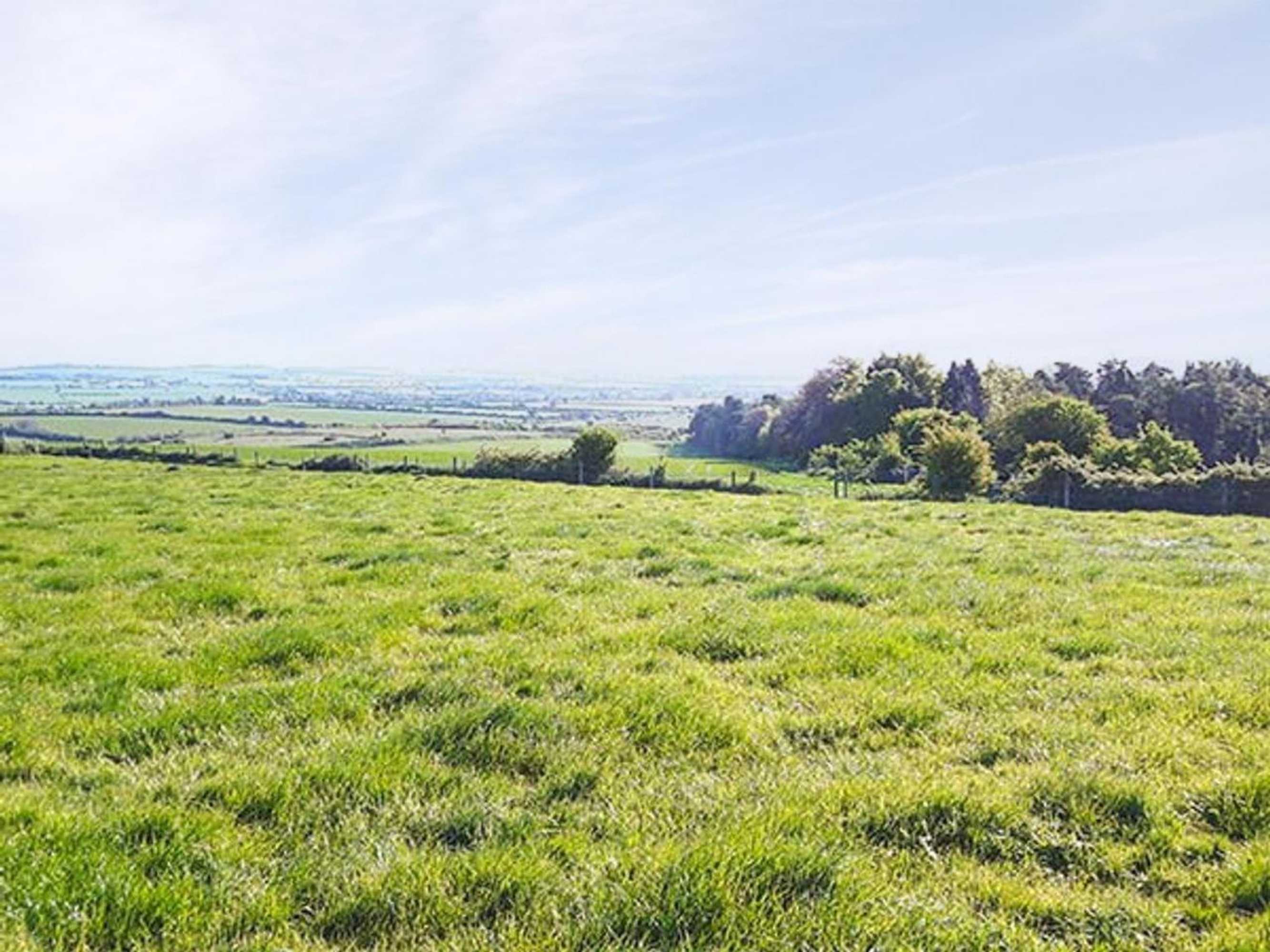 Gift card for Whitey Top Lodge