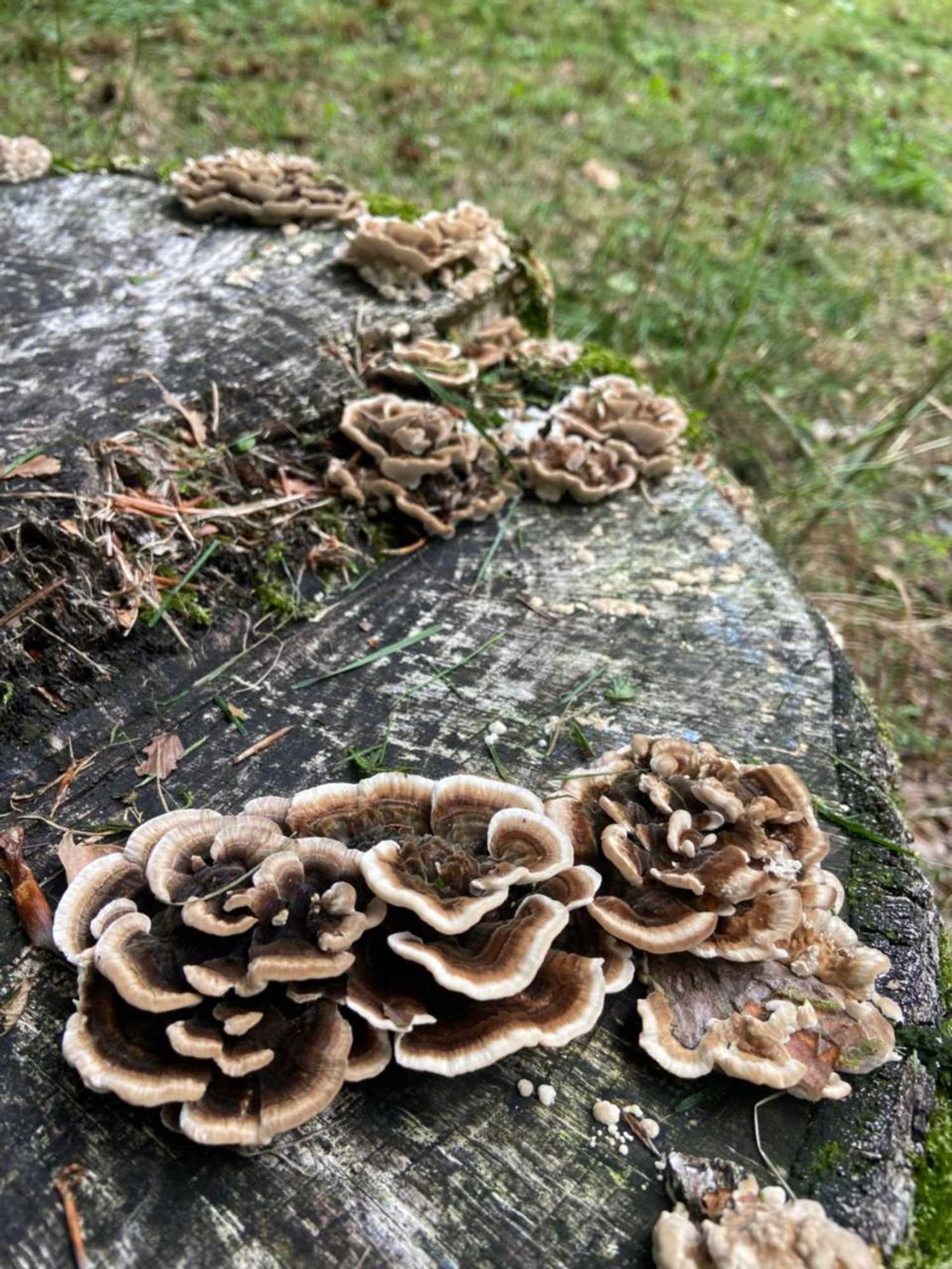 Gift card for 't Aarthuis