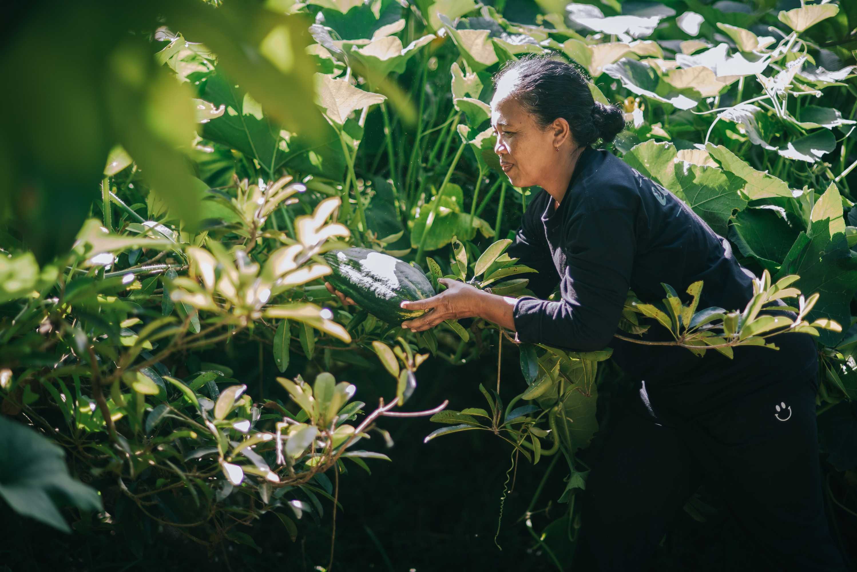 Gift card for Bali Eco Stay