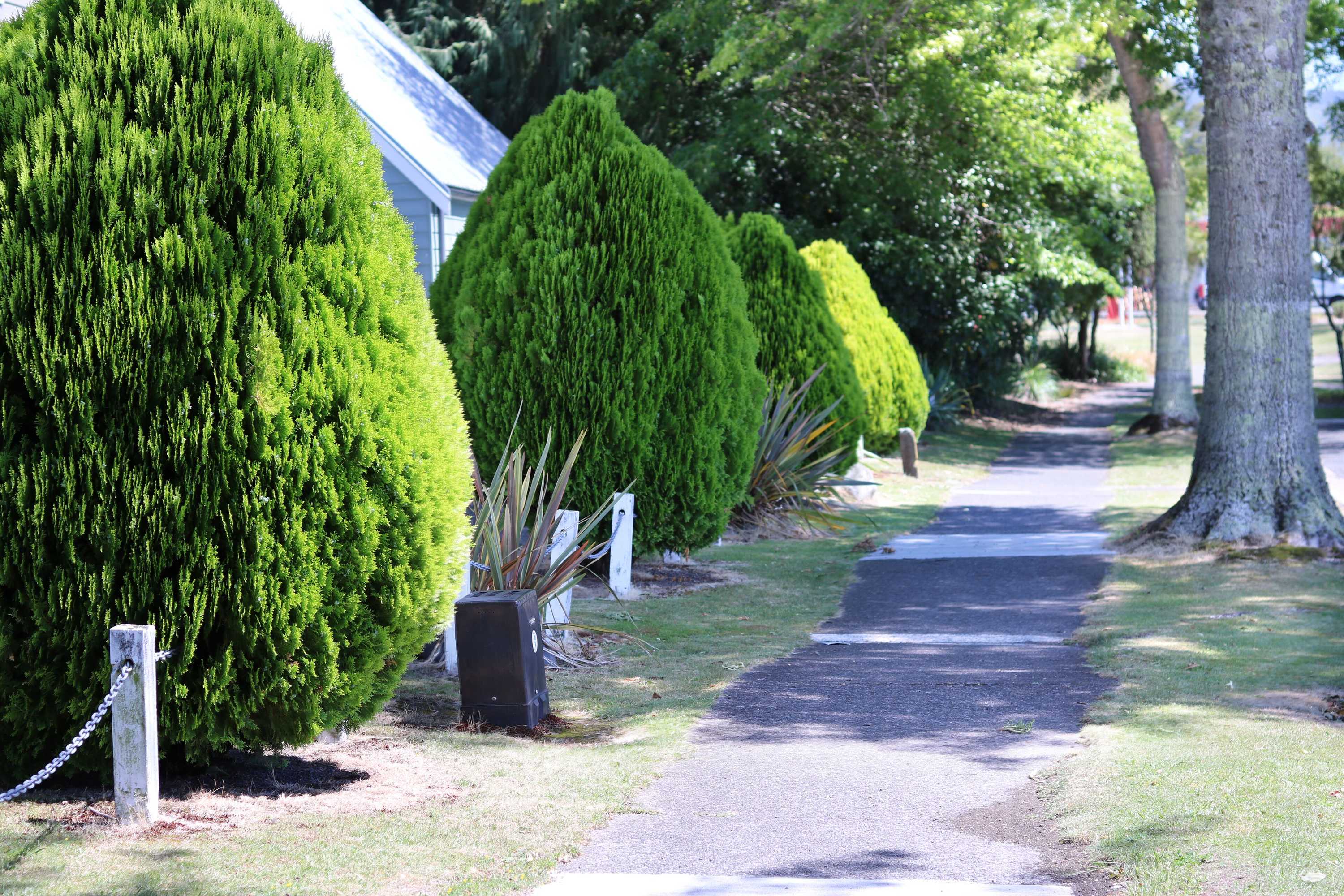 Gift card for Turangi Leisure Lodge Gift card for Turangi Leisure Lodge