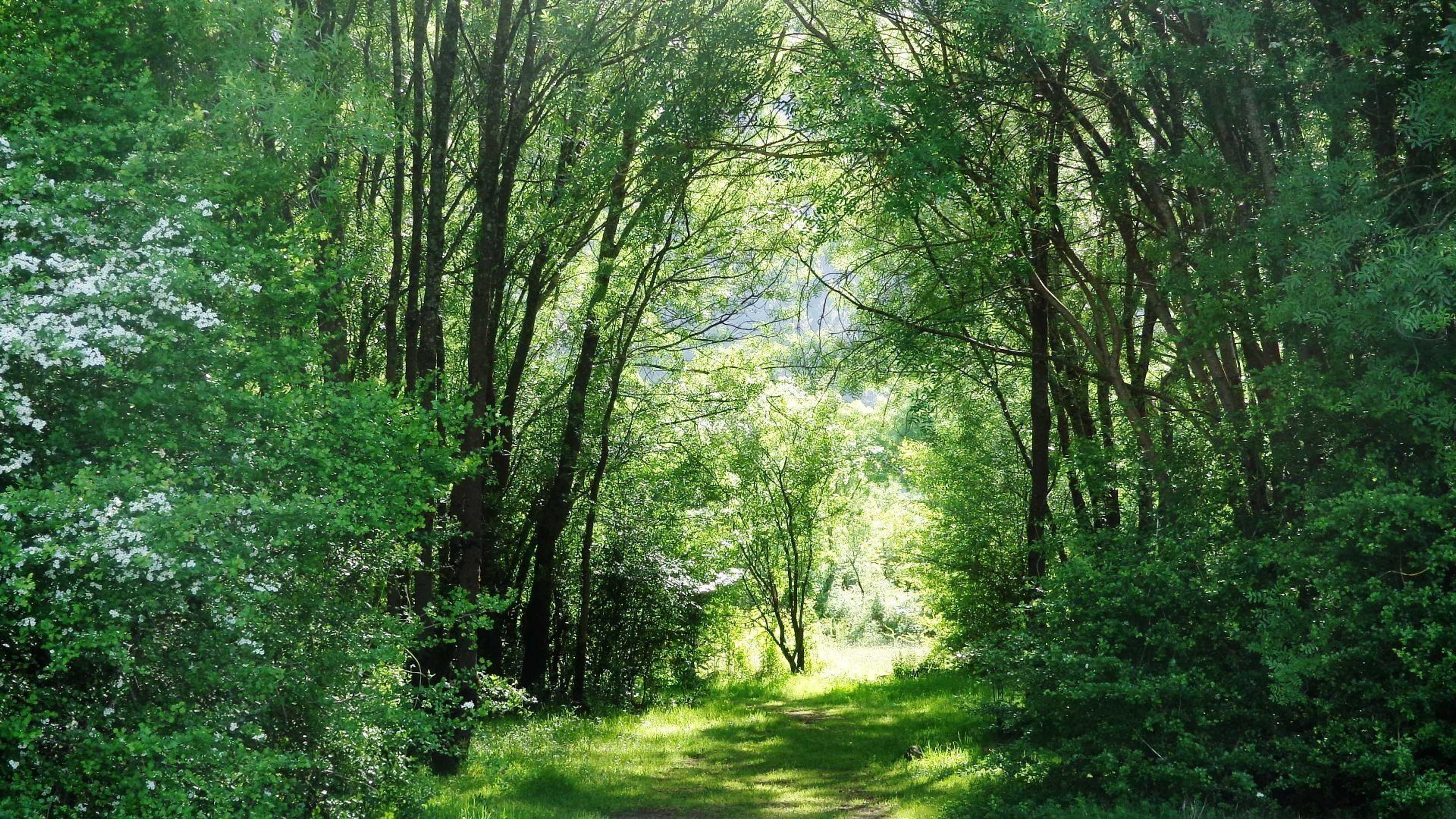 Gift card for Retiro do Bosque Country House Gift card for Retiro do Bosque Country House