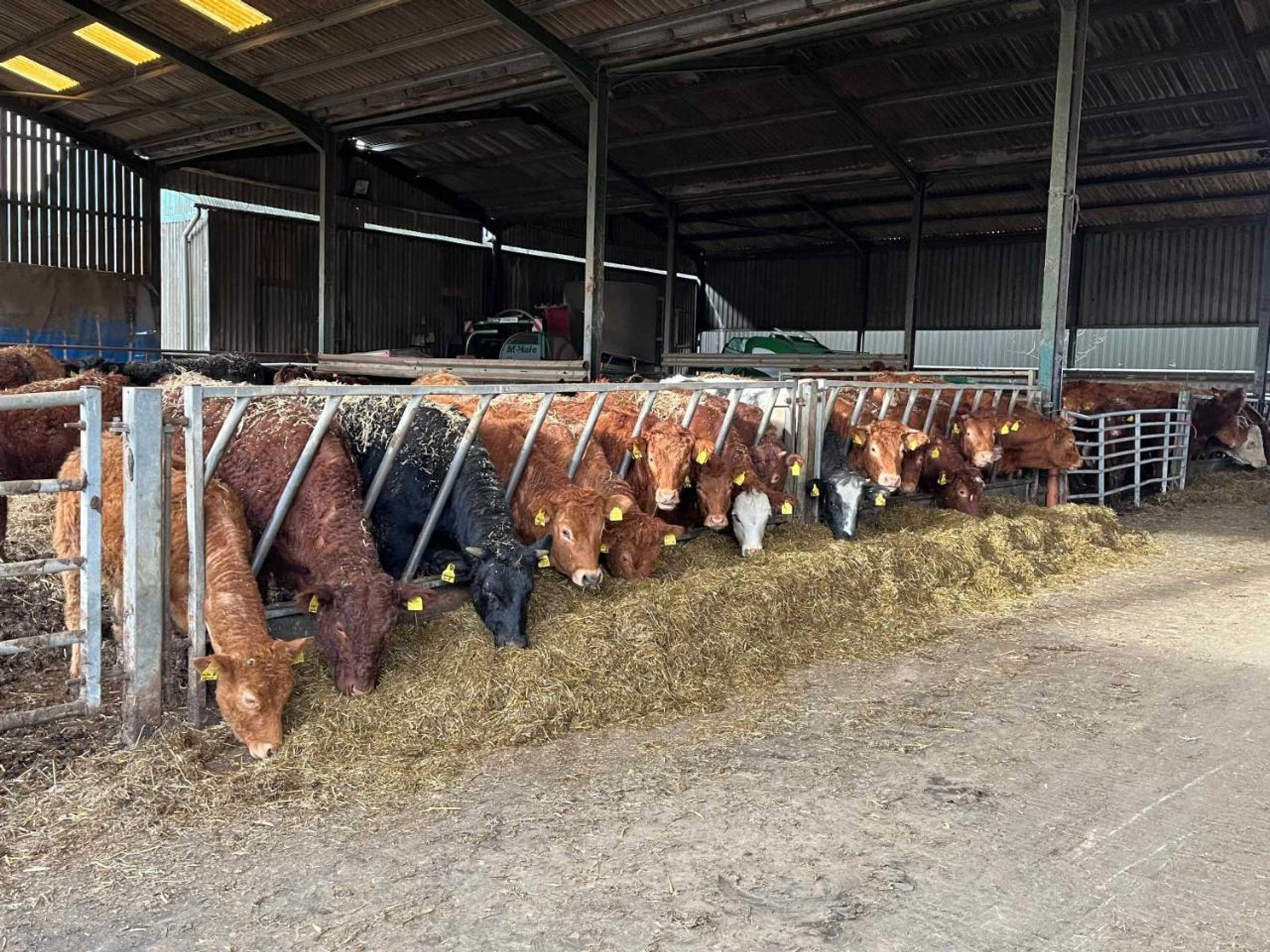 Gift card for Weatherhead Farm