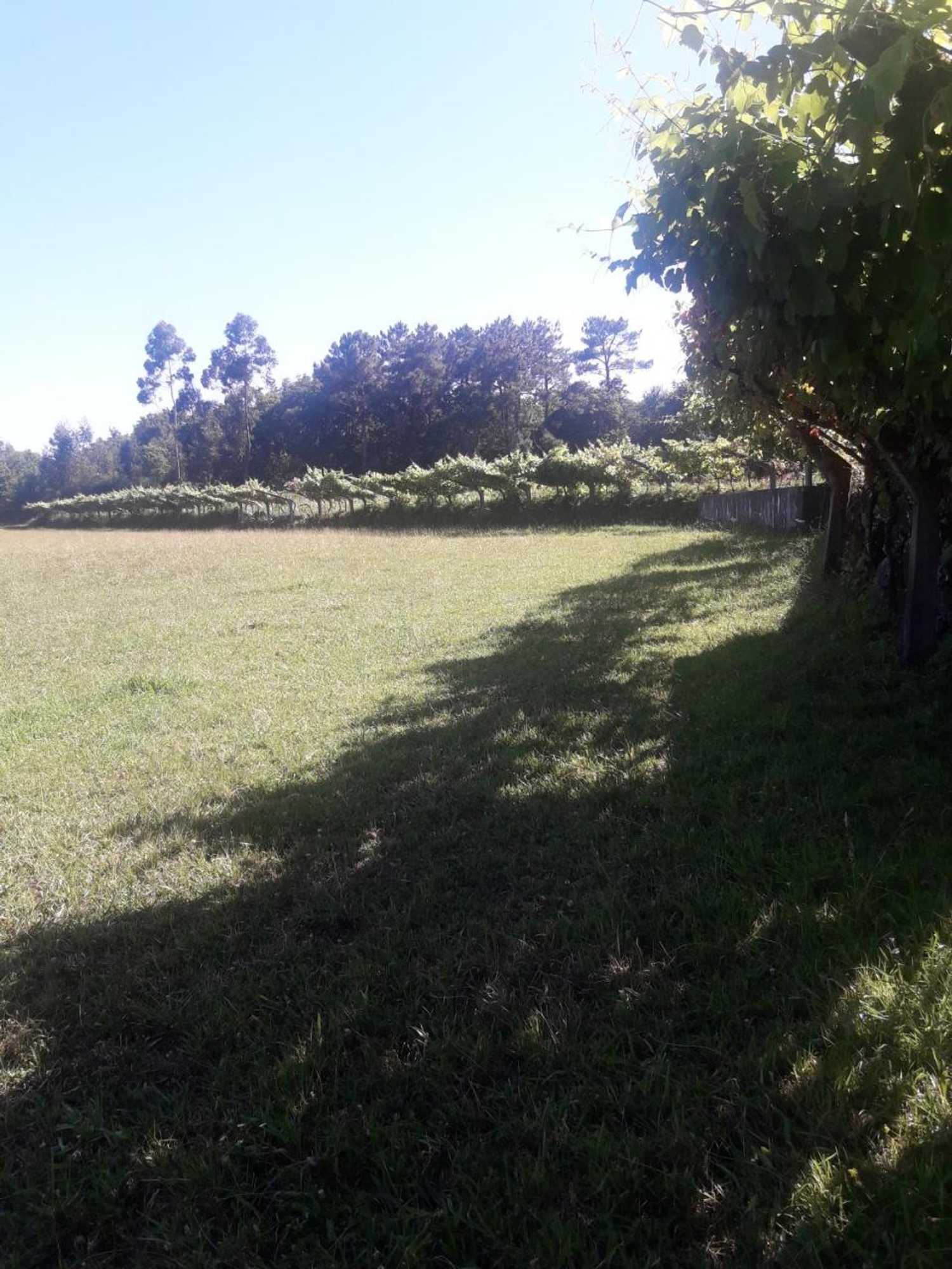 Gift card for Casa Cantinho Dos Pais