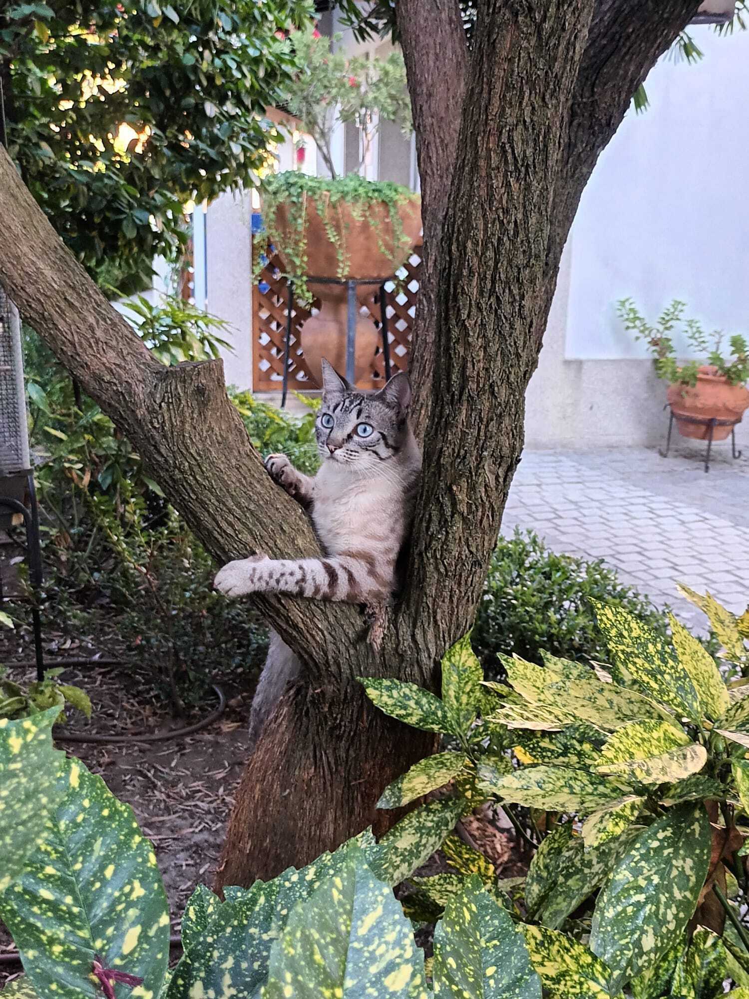 Gift card for Casa de São Domingos