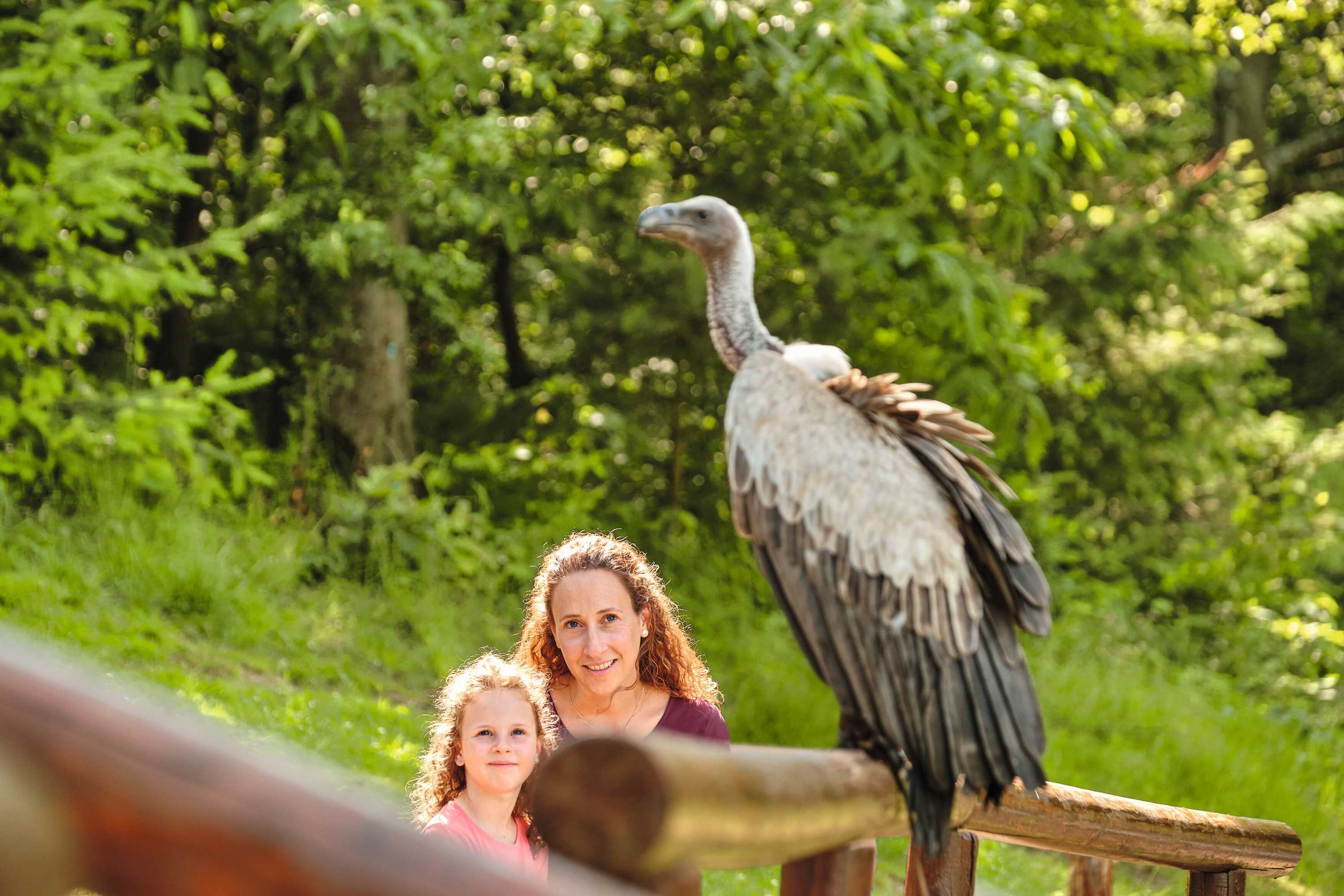 Gift card for Natur-Resort Tripsdrill