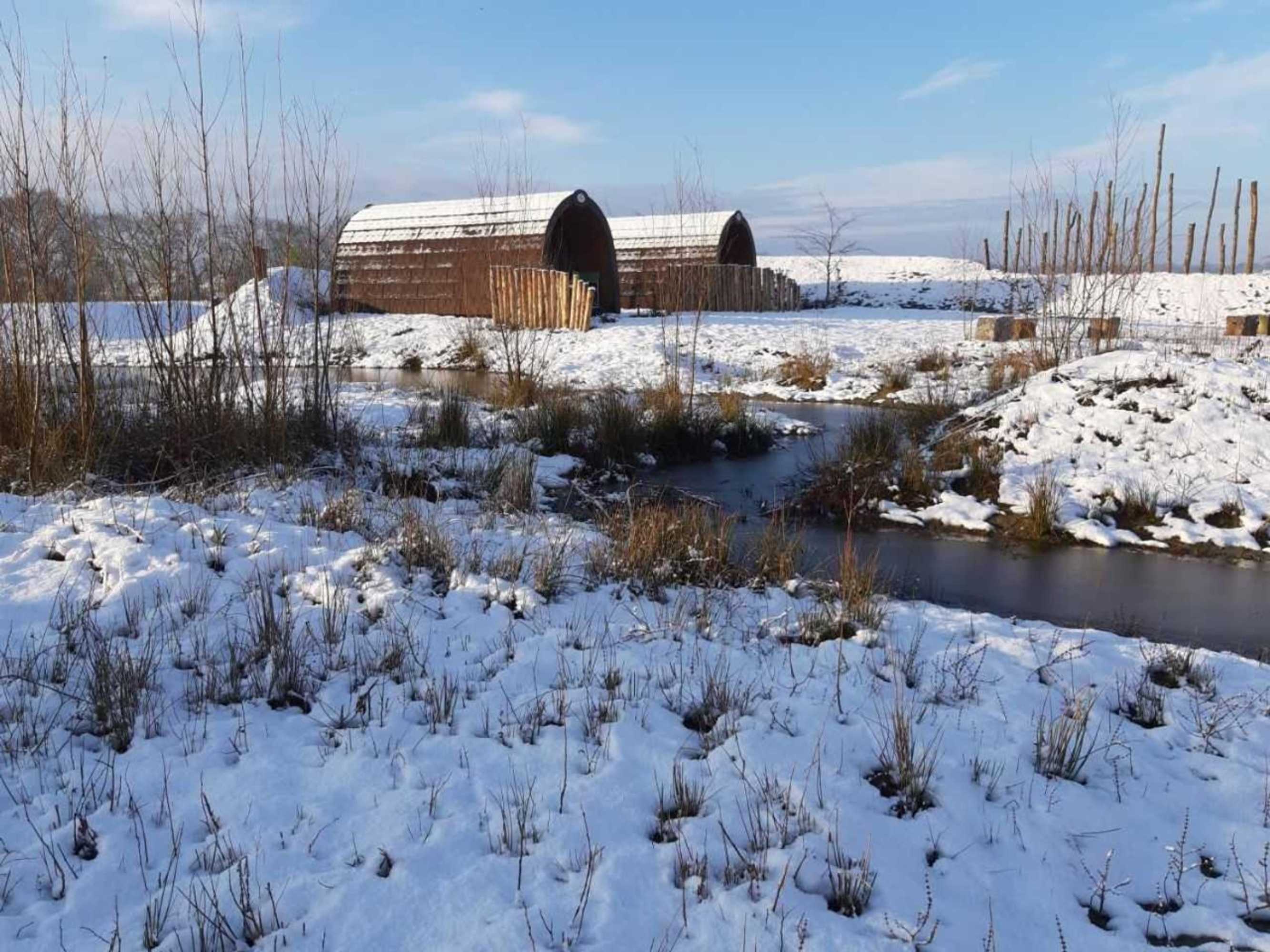 Gift card for Campland