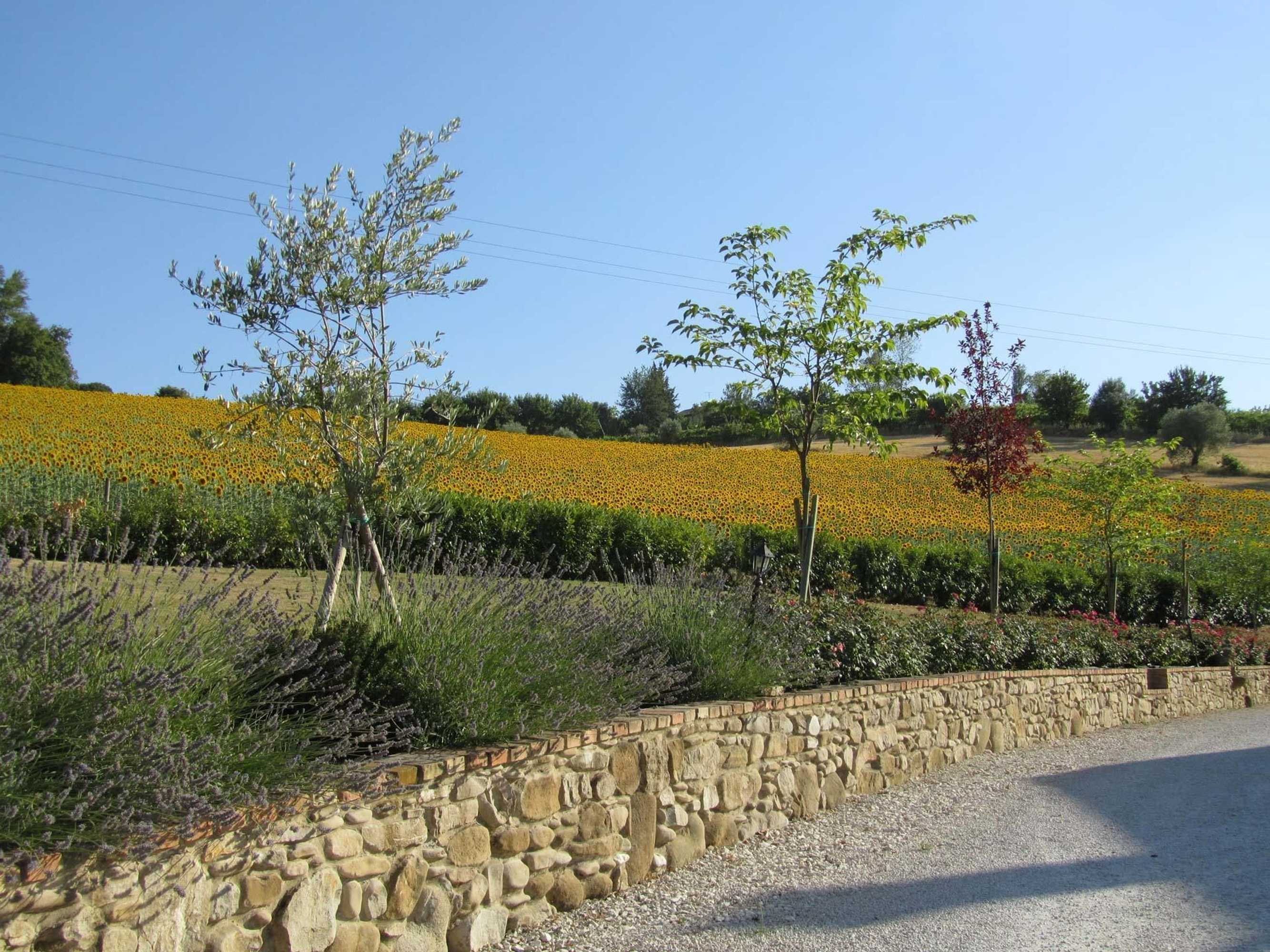 Gift card for Agriturismo La Vecchia Fonte Gift card for Agriturismo La Vecchia Fonte