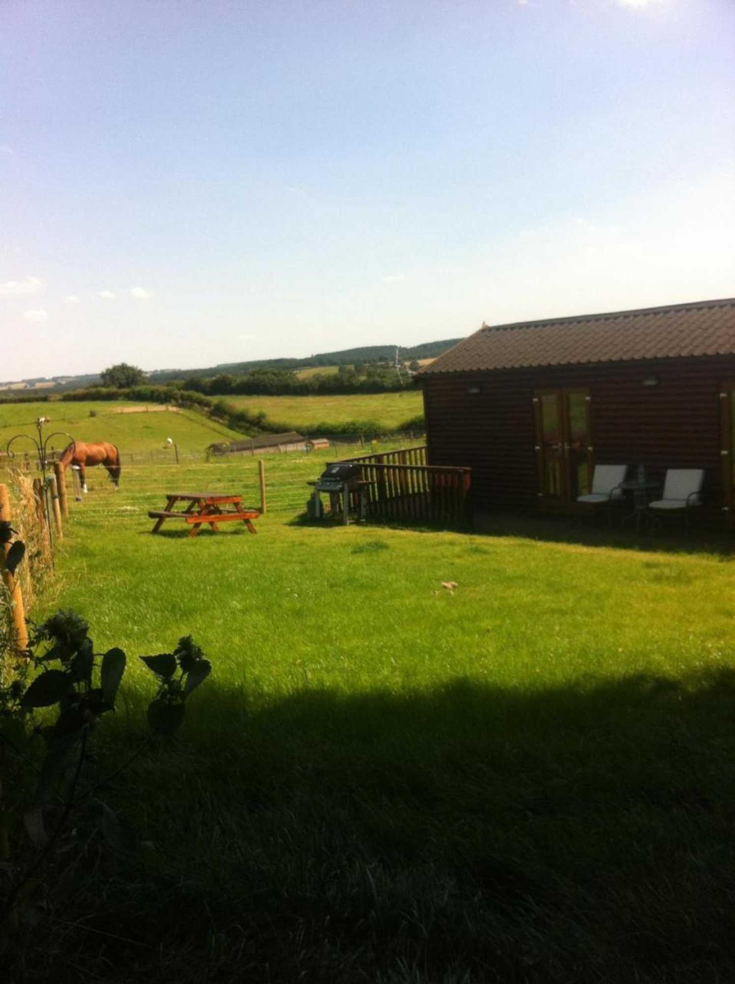 Gift card for Fairview Farm Holiday Accommodation 14 Luxury Lodges,cabins Suitable For Couples ,families And Groups,wedding Guests - Sleeps 2-65 Guests in Ravenshead, Nottingham Near Sherwood Forest Set in 88 Acres