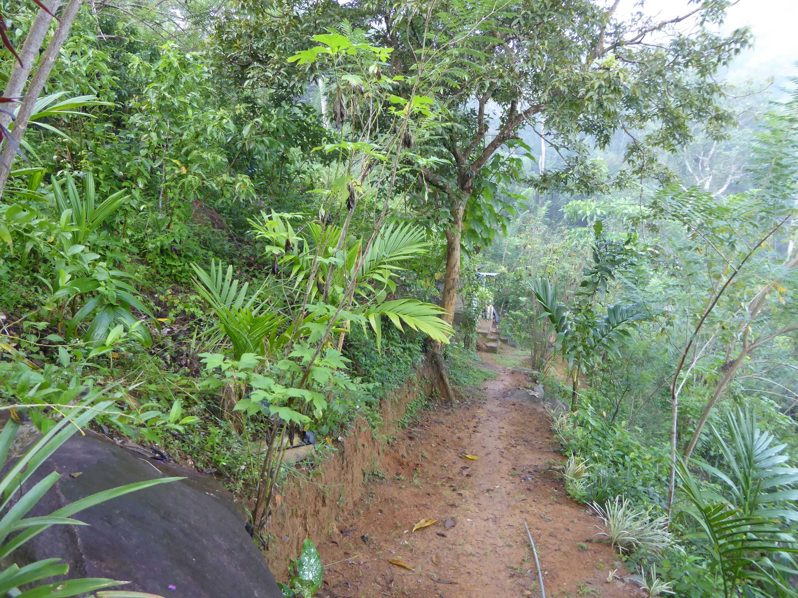 Gift card for Kurulu Estate
