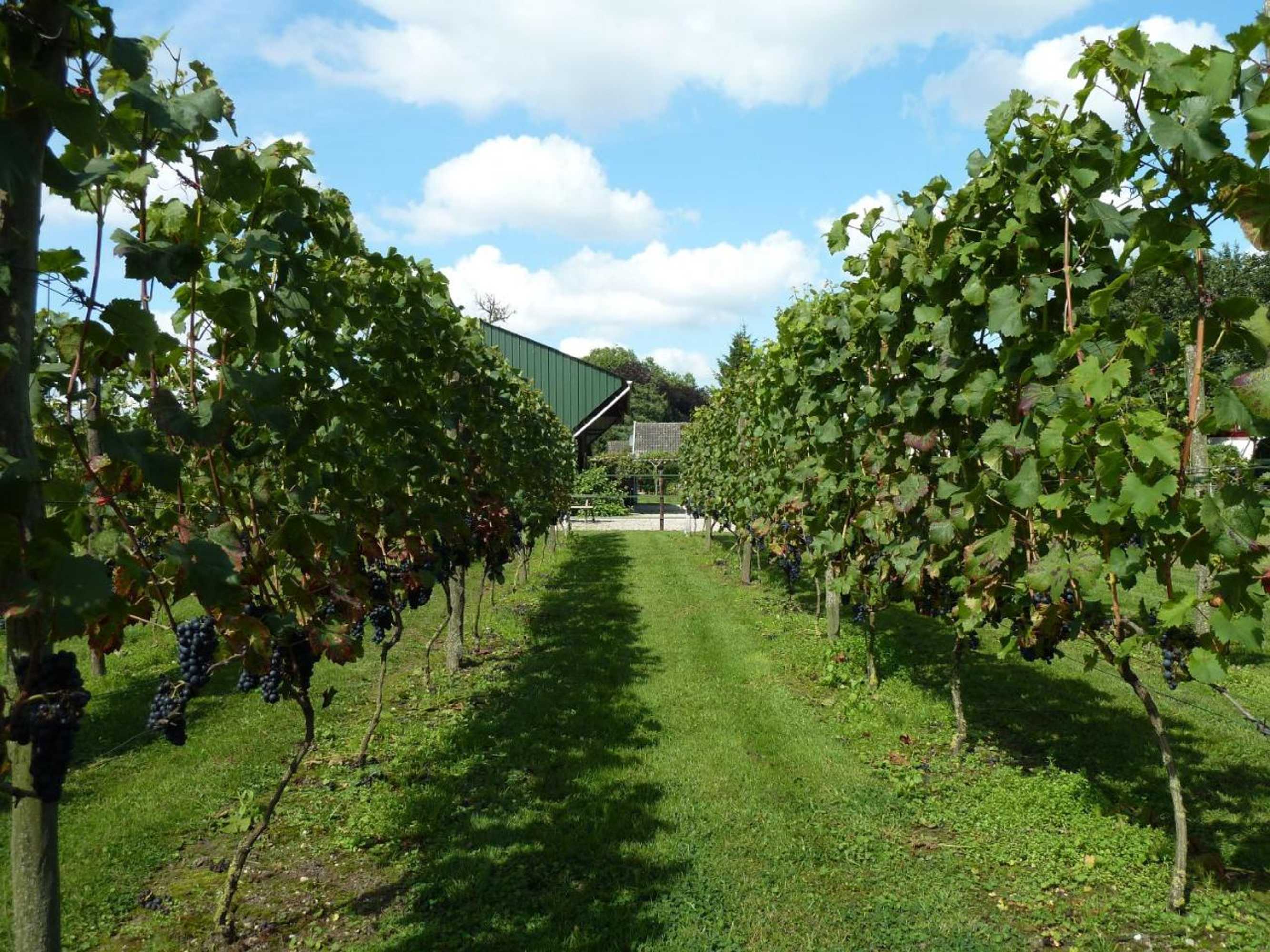 Gift card for B&b Hofstede De Groote Laar