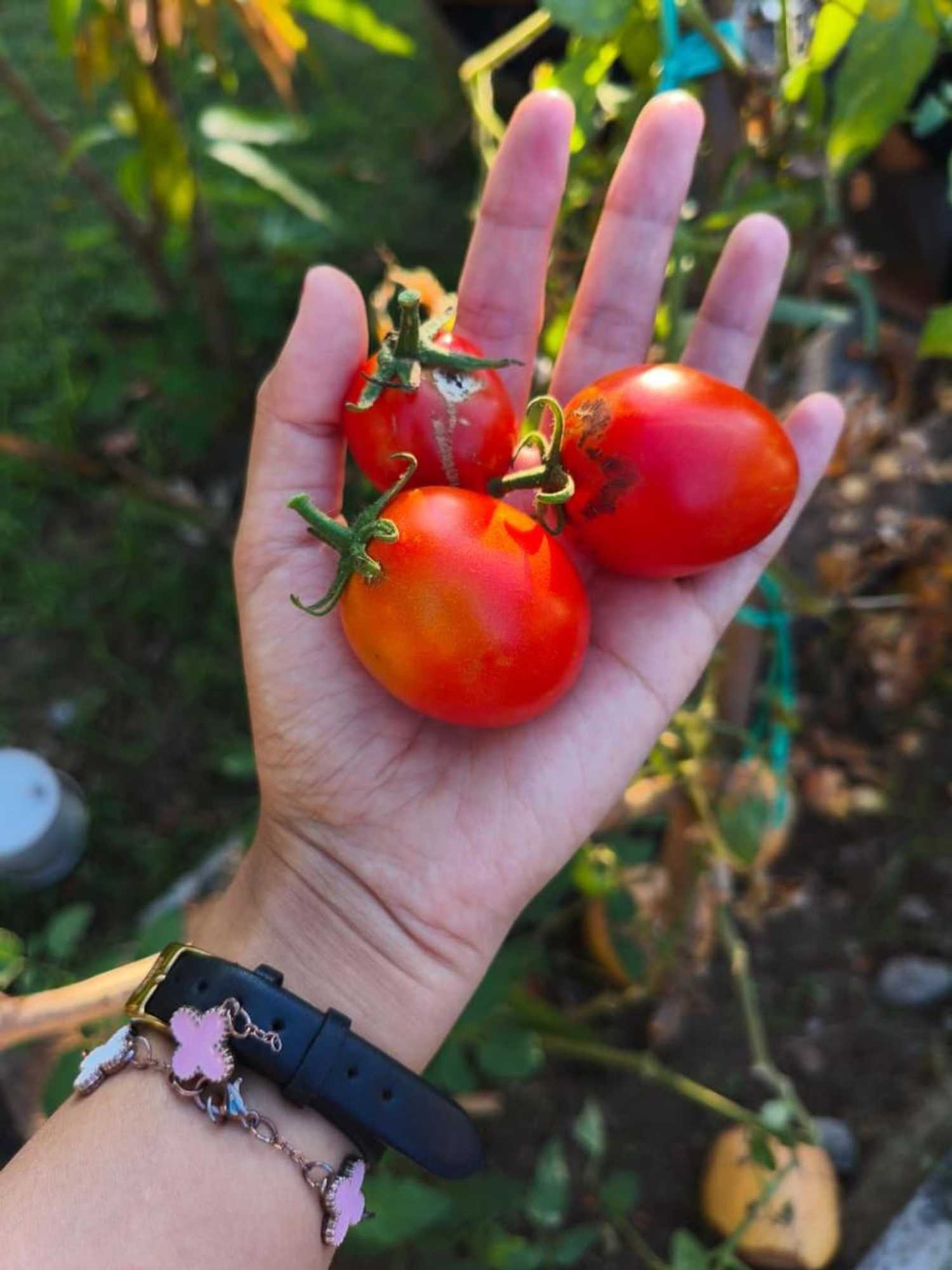 Gift card for Kondo Villa