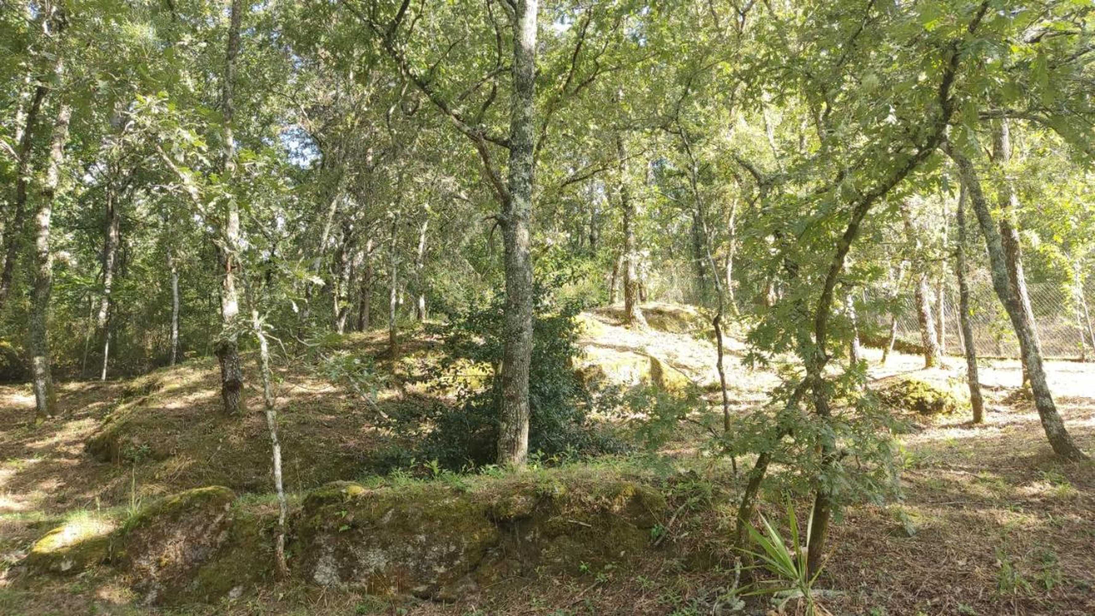 Gift card for Casa de Apeleiras