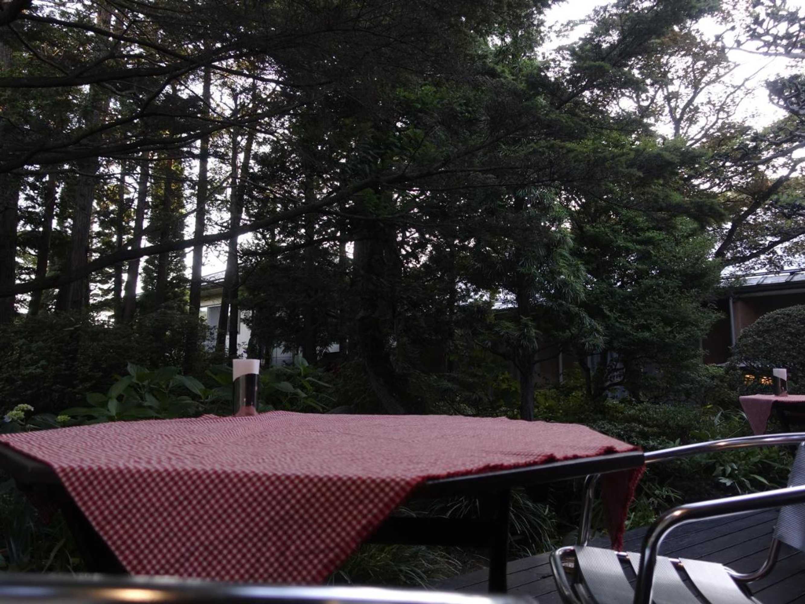 Gift card for Oimatsuen