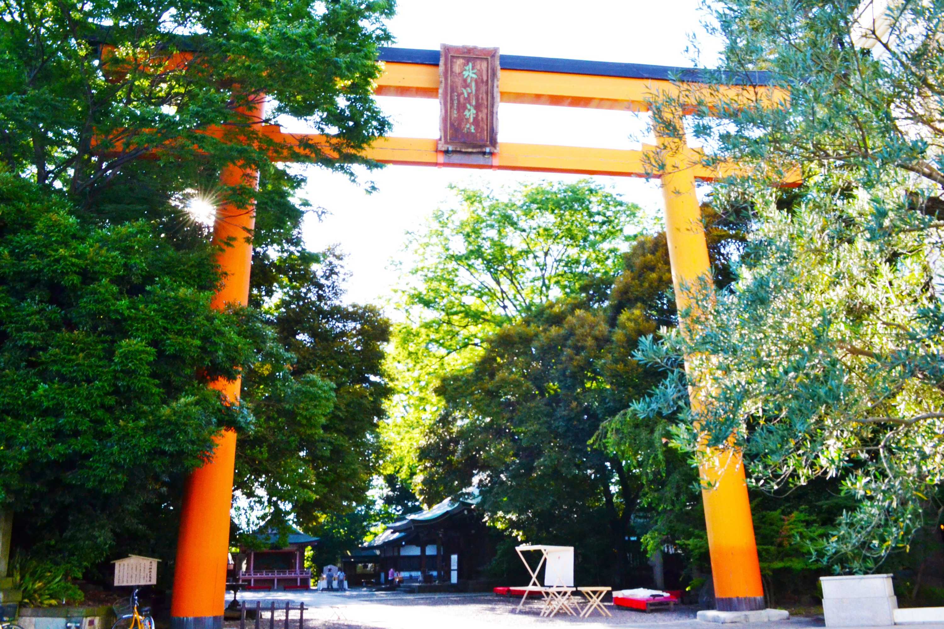 Gift card for Ryokan Matsumuraya Gift card for Ryokan Matsumuraya