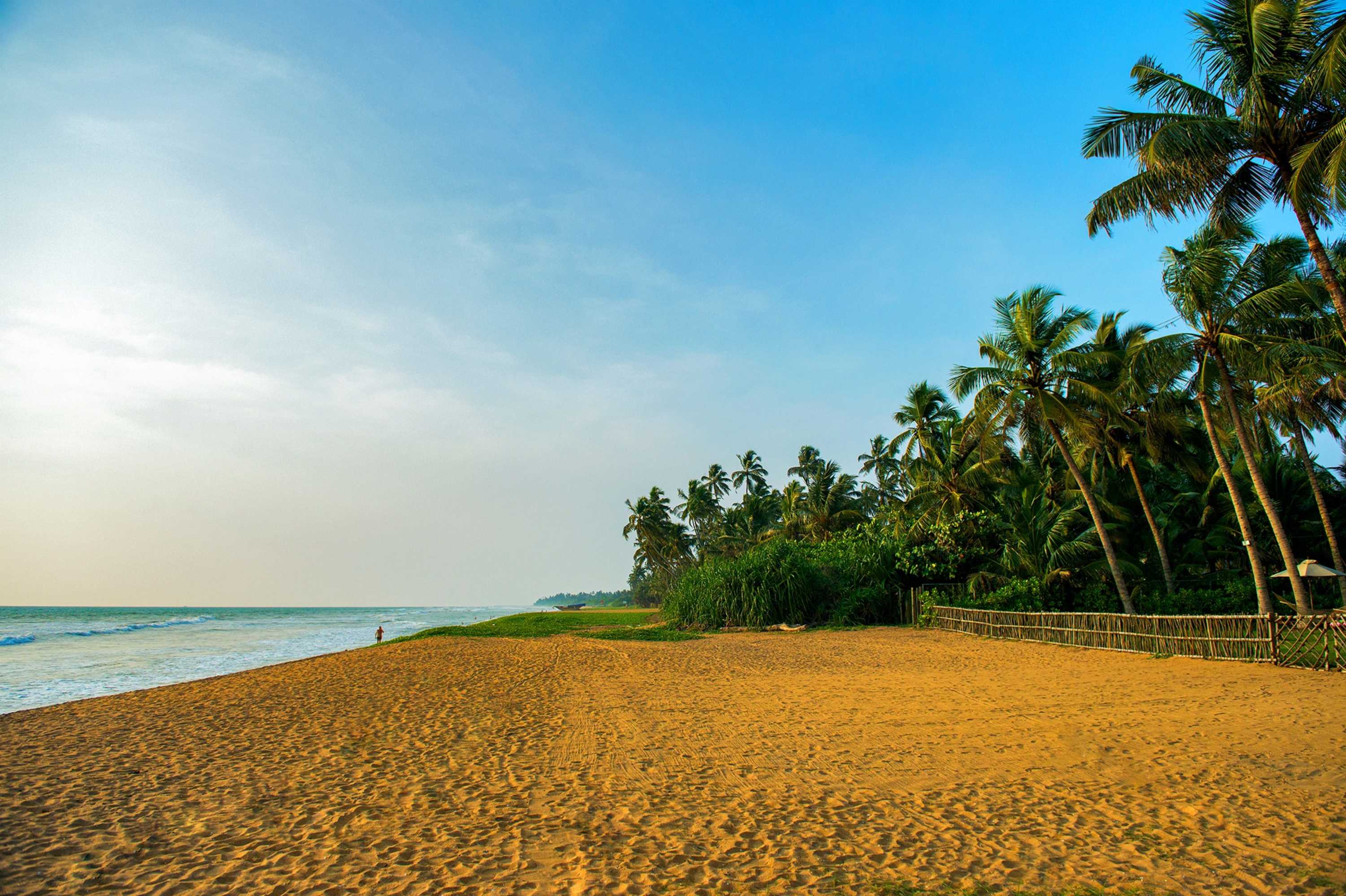 Gift card for Taprobana Wadduwa by Asia Leisure