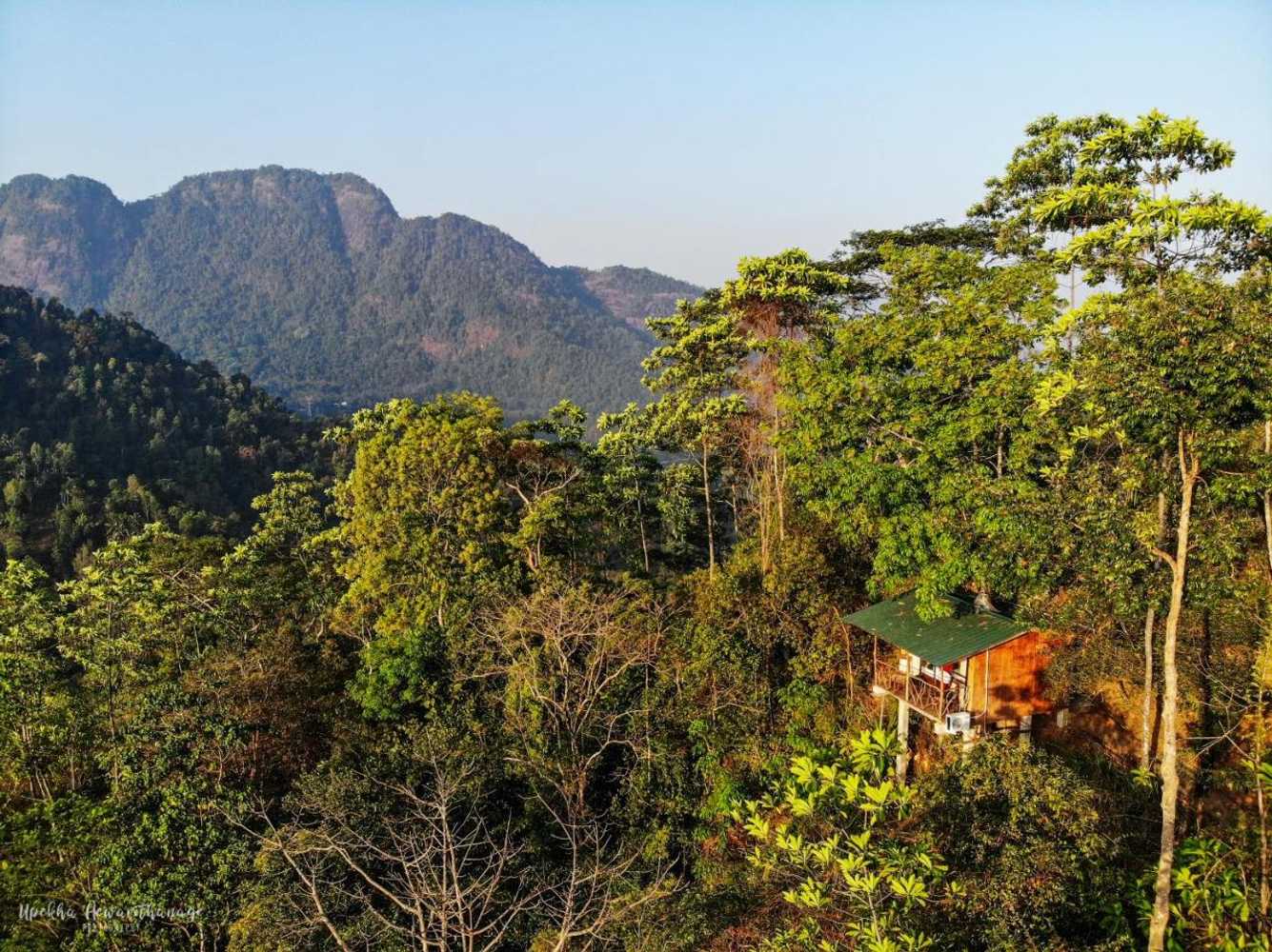 Gift card for Tree Houses by Jungle River