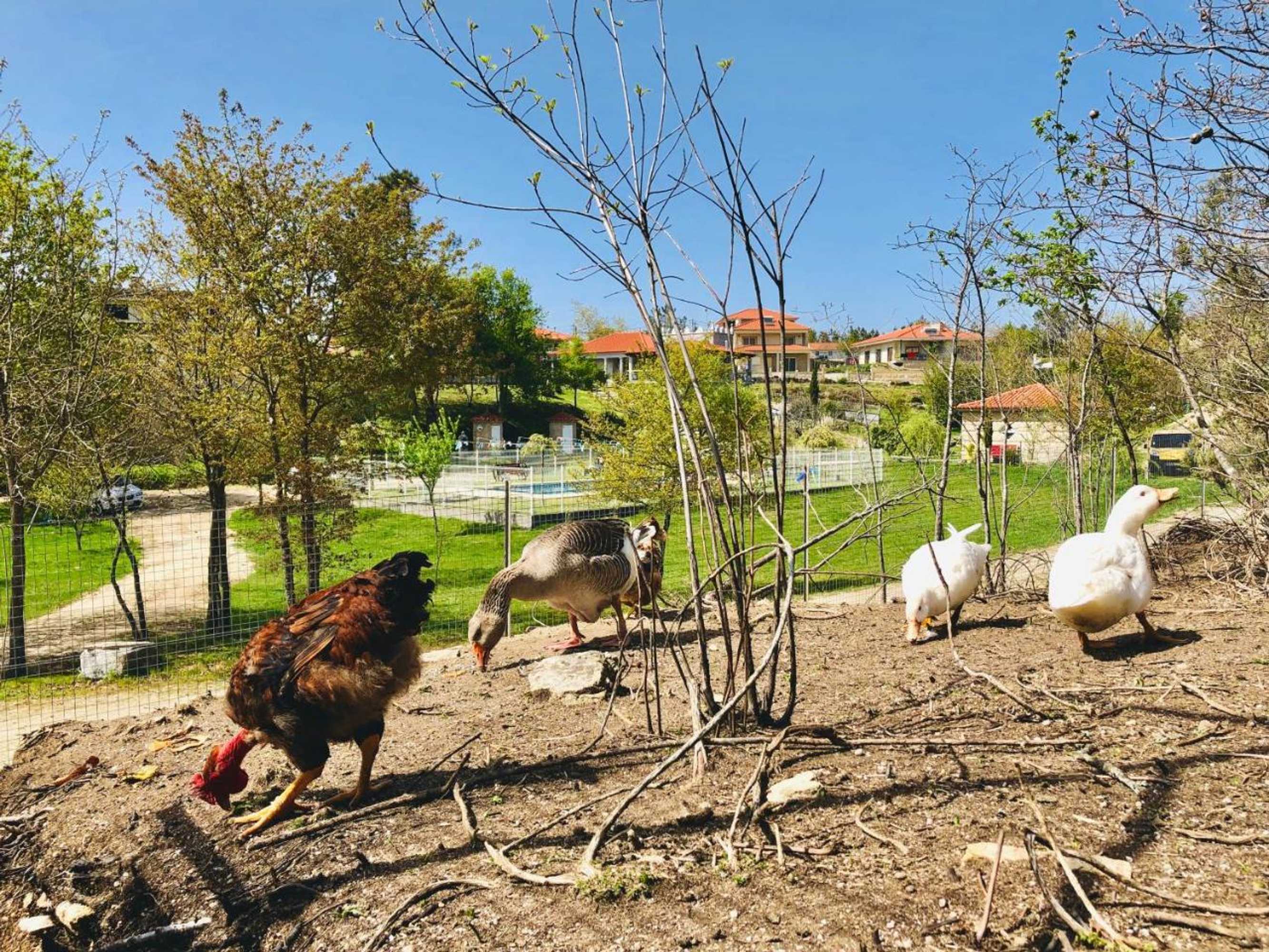 Gift card for Casa da Quinta da Prelada Simão